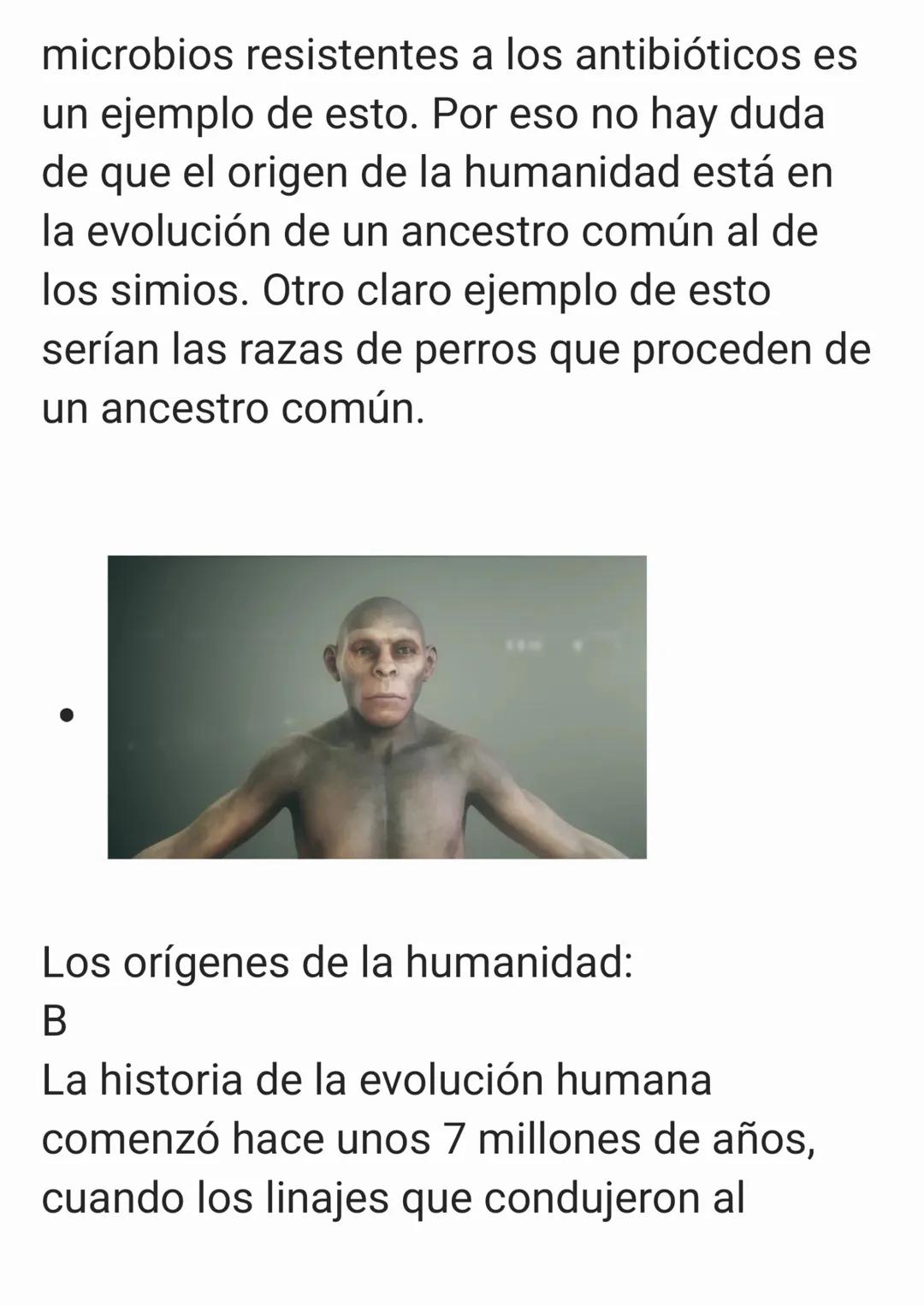 Los conceptos básicos de
la evolución humana
Con el reciente
descubrimiento del 'Homo
Naledi', posiblemente venga
bien recapitular acerca de