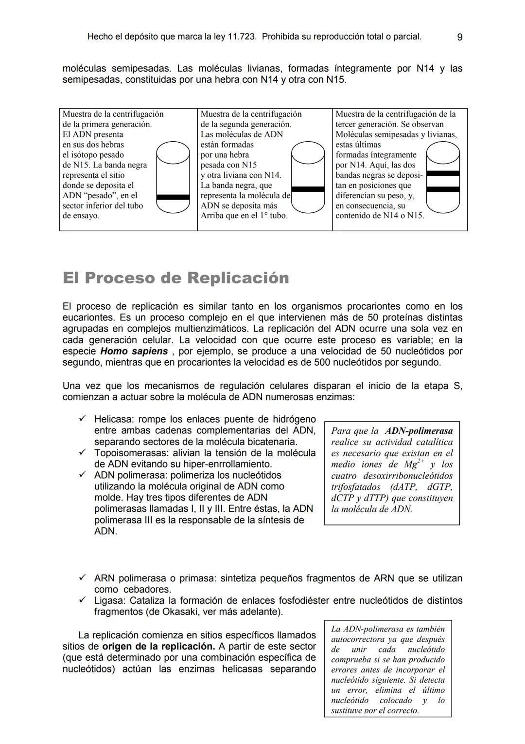 UNIDAD 9
OBJETIVOS:
- Comprender la estructura del núcleo y su función
- Describir la estructura básica de la molécula de ADN
- Explicar el
