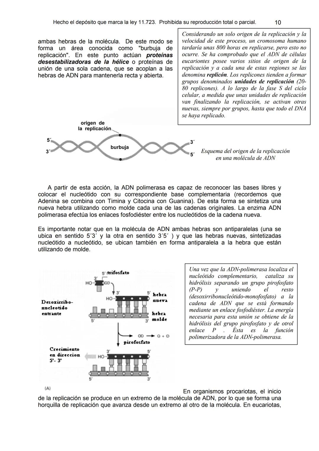 UNIDAD 9
OBJETIVOS:
- Comprender la estructura del núcleo y su función
- Describir la estructura básica de la molécula de ADN
- Explicar el
