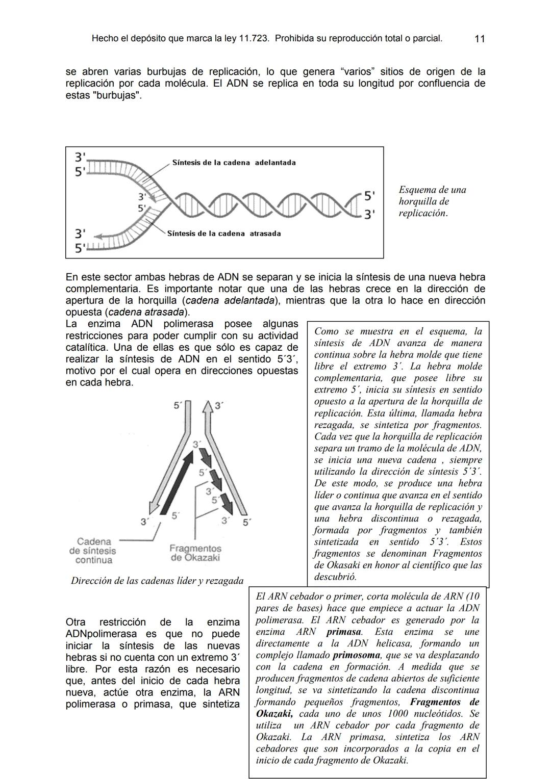 UNIDAD 9
OBJETIVOS:
- Comprender la estructura del núcleo y su función
- Describir la estructura básica de la molécula de ADN
- Explicar el