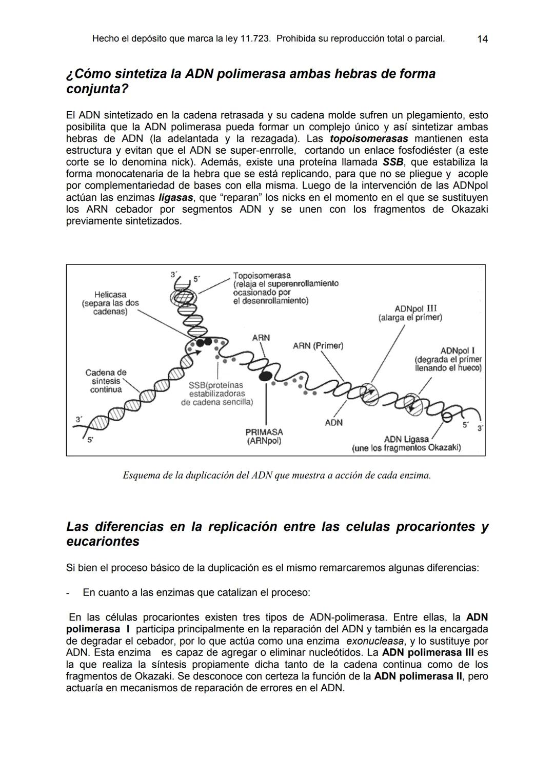 UNIDAD 9
OBJETIVOS:
- Comprender la estructura del núcleo y su función
- Describir la estructura básica de la molécula de ADN
- Explicar el