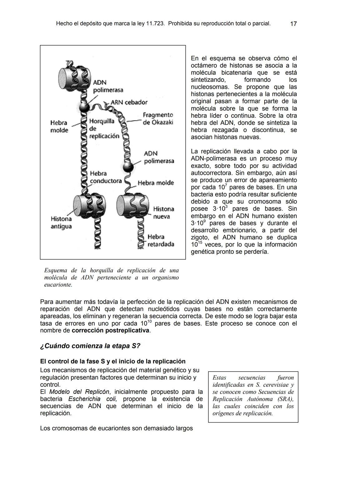 UNIDAD 9
OBJETIVOS:
- Comprender la estructura del núcleo y su función
- Describir la estructura básica de la molécula de ADN
- Explicar el