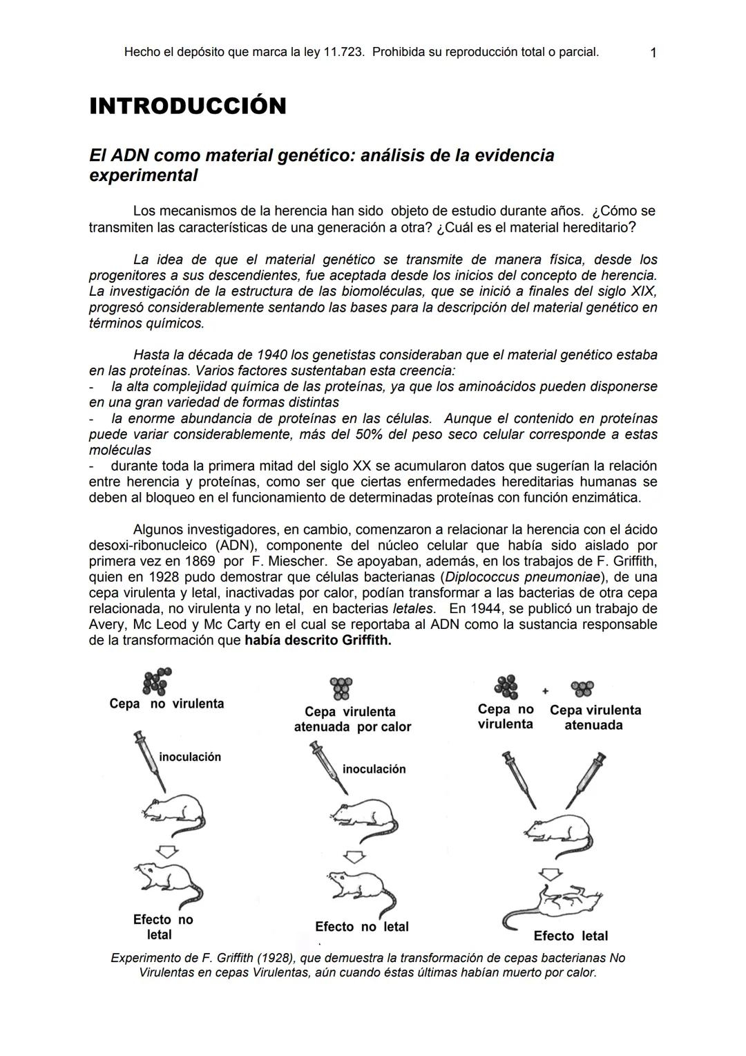 UNIDAD 9
OBJETIVOS:
- Comprender la estructura del núcleo y su función
- Describir la estructura básica de la molécula de ADN
- Explicar el