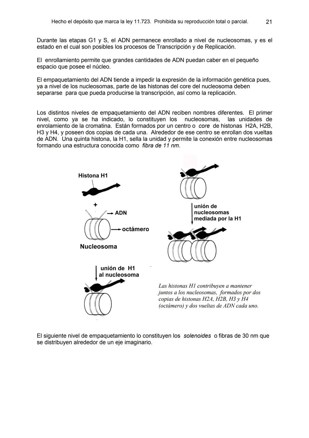 UNIDAD 9
OBJETIVOS:
- Comprender la estructura del núcleo y su función
- Describir la estructura básica de la molécula de ADN
- Explicar el