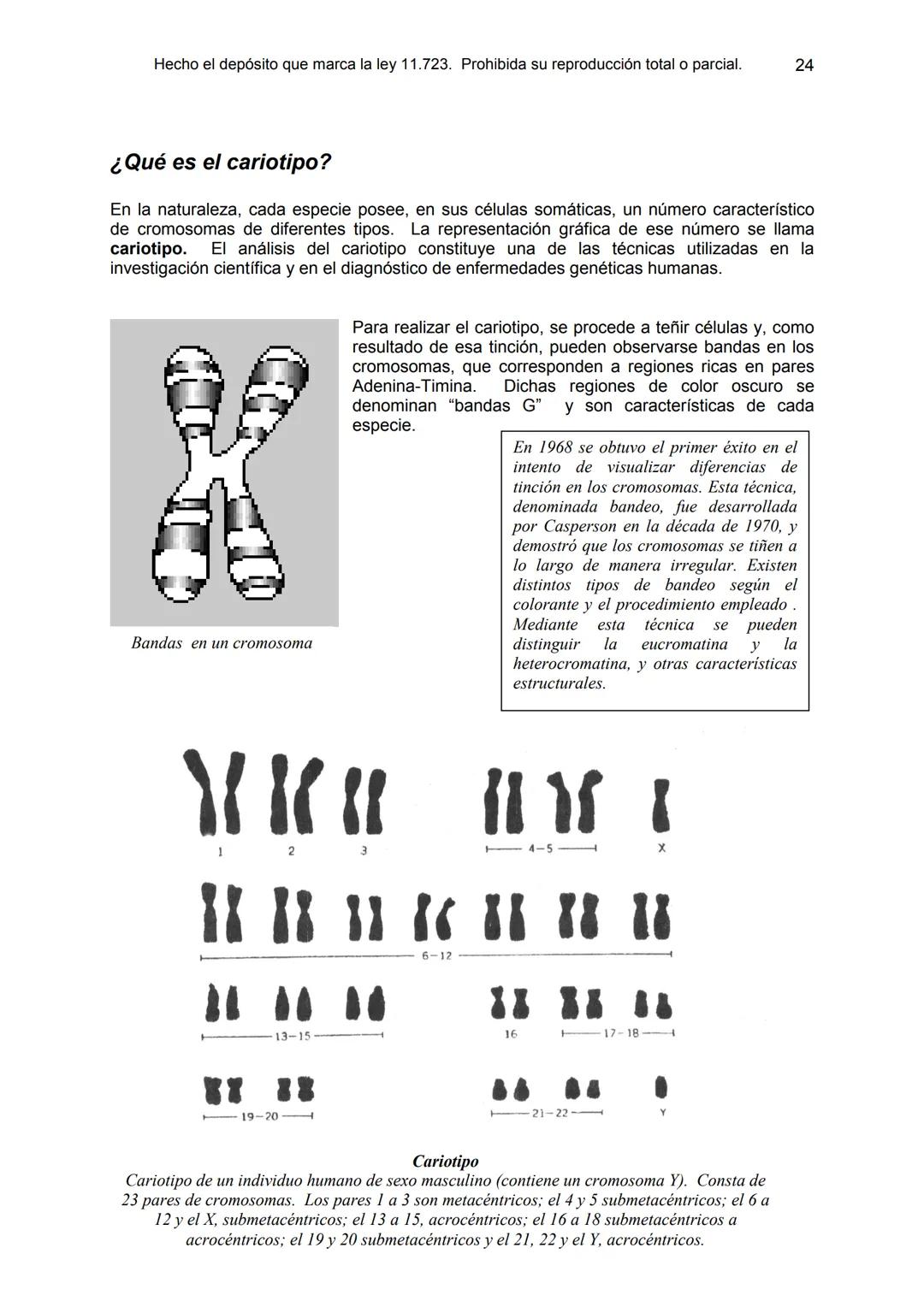 UNIDAD 9
OBJETIVOS:
- Comprender la estructura del núcleo y su función
- Describir la estructura básica de la molécula de ADN
- Explicar el