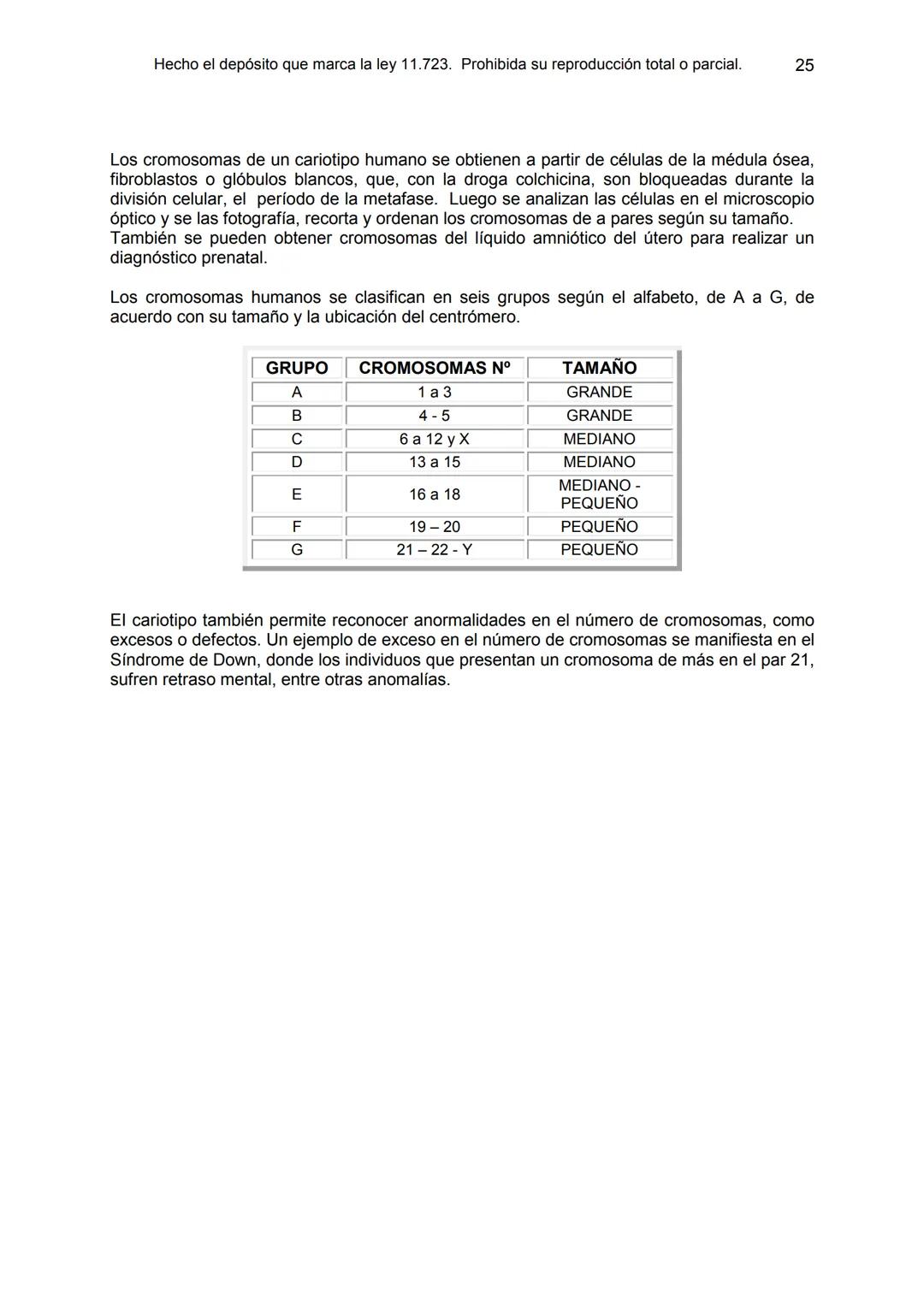 UNIDAD 9
OBJETIVOS:
- Comprender la estructura del núcleo y su función
- Describir la estructura básica de la molécula de ADN
- Explicar el