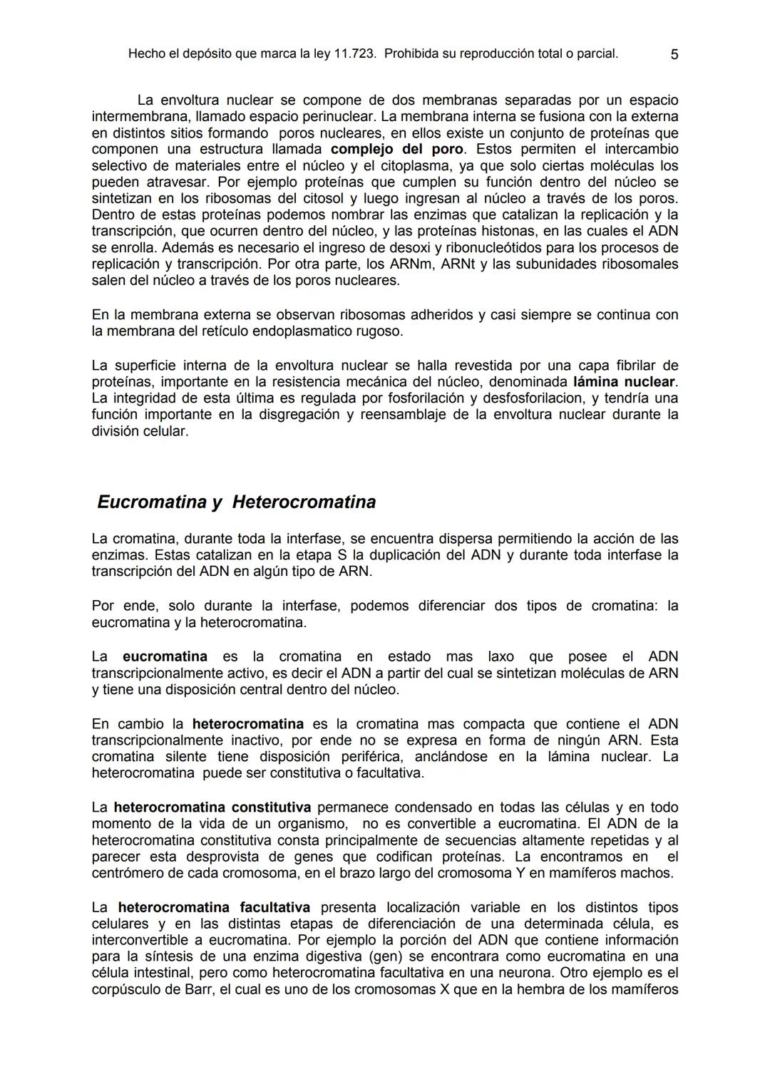 UNIDAD 9
OBJETIVOS:
- Comprender la estructura del núcleo y su función
- Describir la estructura básica de la molécula de ADN
- Explicar el