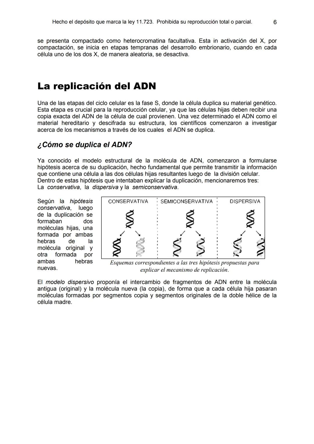 UNIDAD 9
OBJETIVOS:
- Comprender la estructura del núcleo y su función
- Describir la estructura básica de la molécula de ADN
- Explicar el