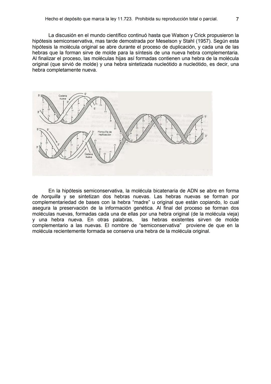 UNIDAD 9
OBJETIVOS:
- Comprender la estructura del núcleo y su función
- Describir la estructura básica de la molécula de ADN
- Explicar el