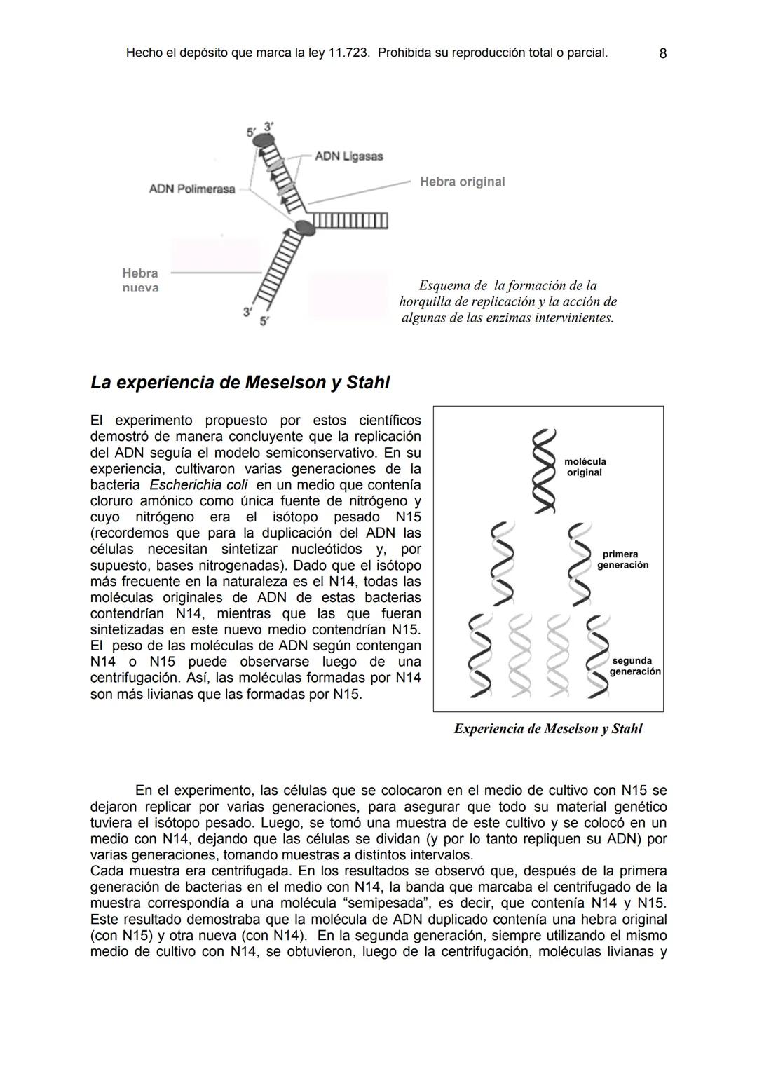 UNIDAD 9
OBJETIVOS:
- Comprender la estructura del núcleo y su función
- Describir la estructura básica de la molécula de ADN
- Explicar el