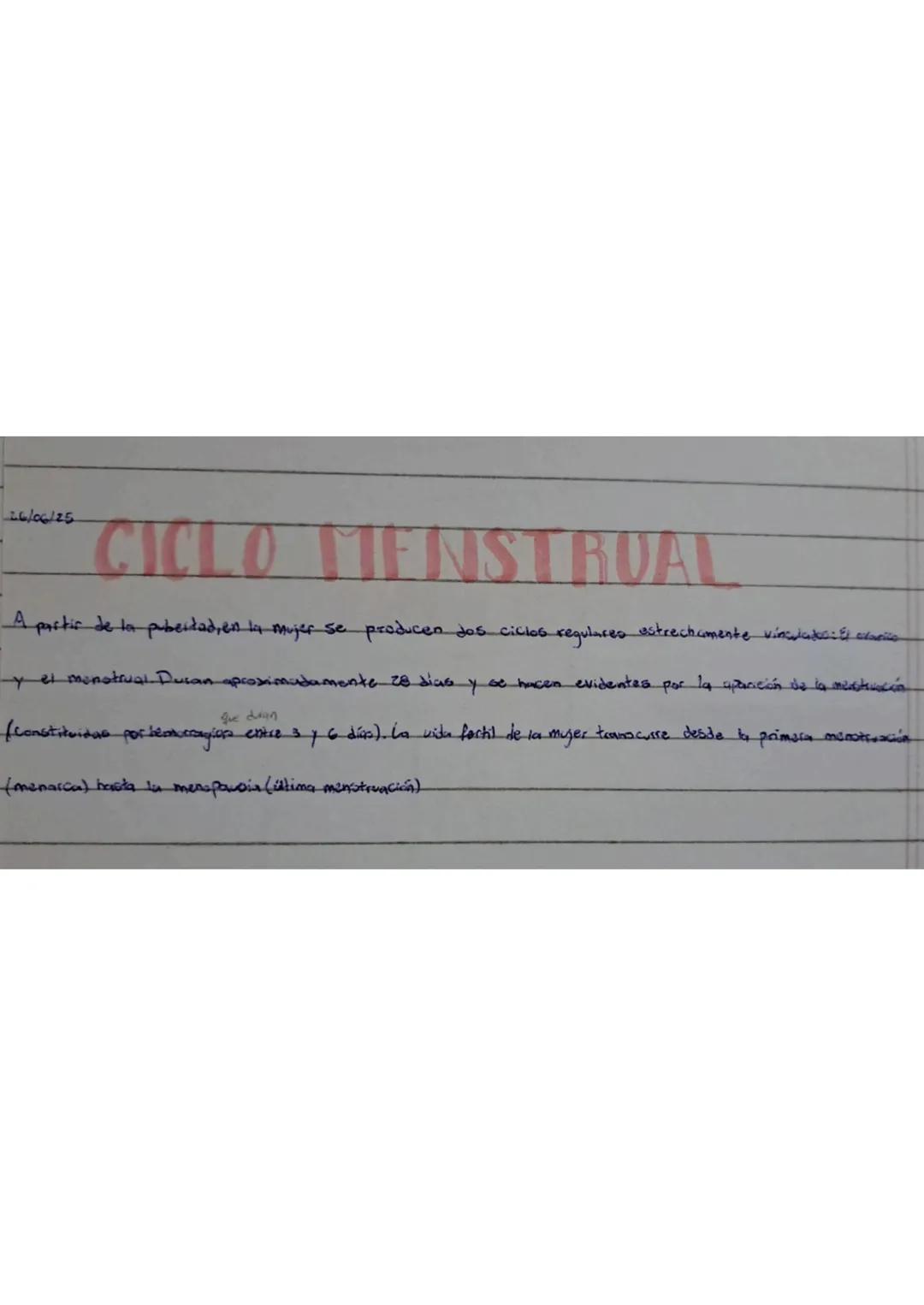 Cuando el embrión tiene los cromosomas femeninos XX, las hormonas maternas (estrógenos) estimulan el
desarrollo de órganos sexuales femenino