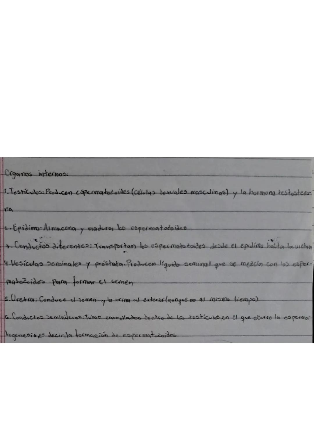 Cuando el embrión tiene los cromosomas femeninos XX, las hormonas maternas (estrógenos) estimulan el
desarrollo de órganos sexuales femenino