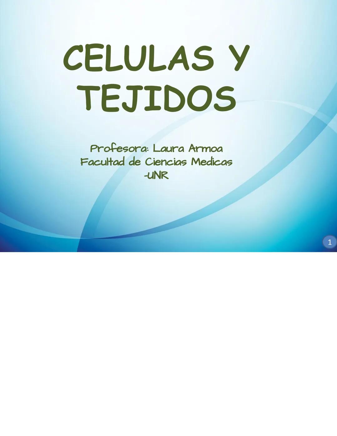 Celula y tejidos