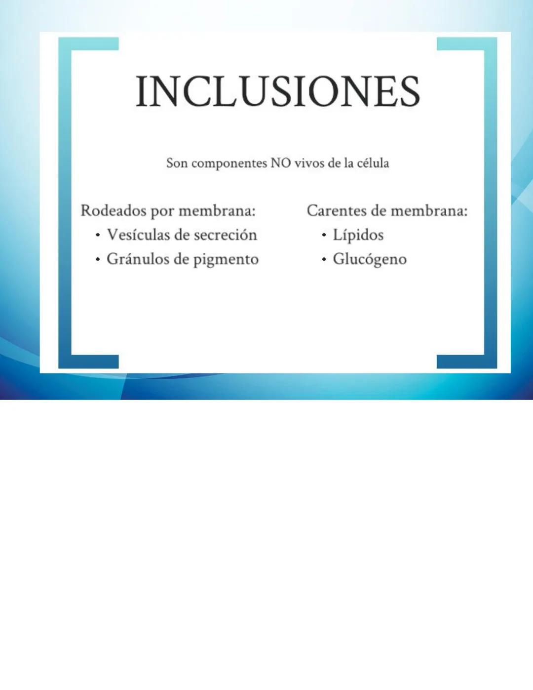 # CELULAS Y TEJIDOS
Profesora: Laura Armoa
Facultad de Ciencias Medicas
-UNR Definición de Célula
La célula es conocida como la unidad anat