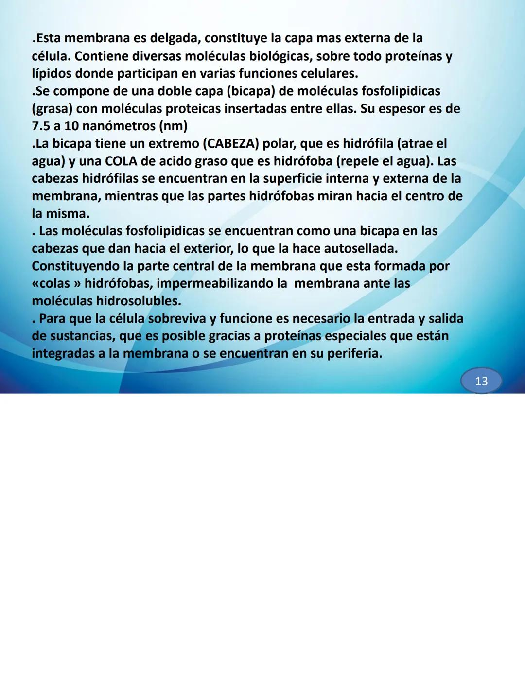 # CELULAS Y TEJIDOS
Profesora: Laura Armoa
Facultad de Ciencias Medicas
-UNR Definición de Célula
La célula es conocida como la unidad anat