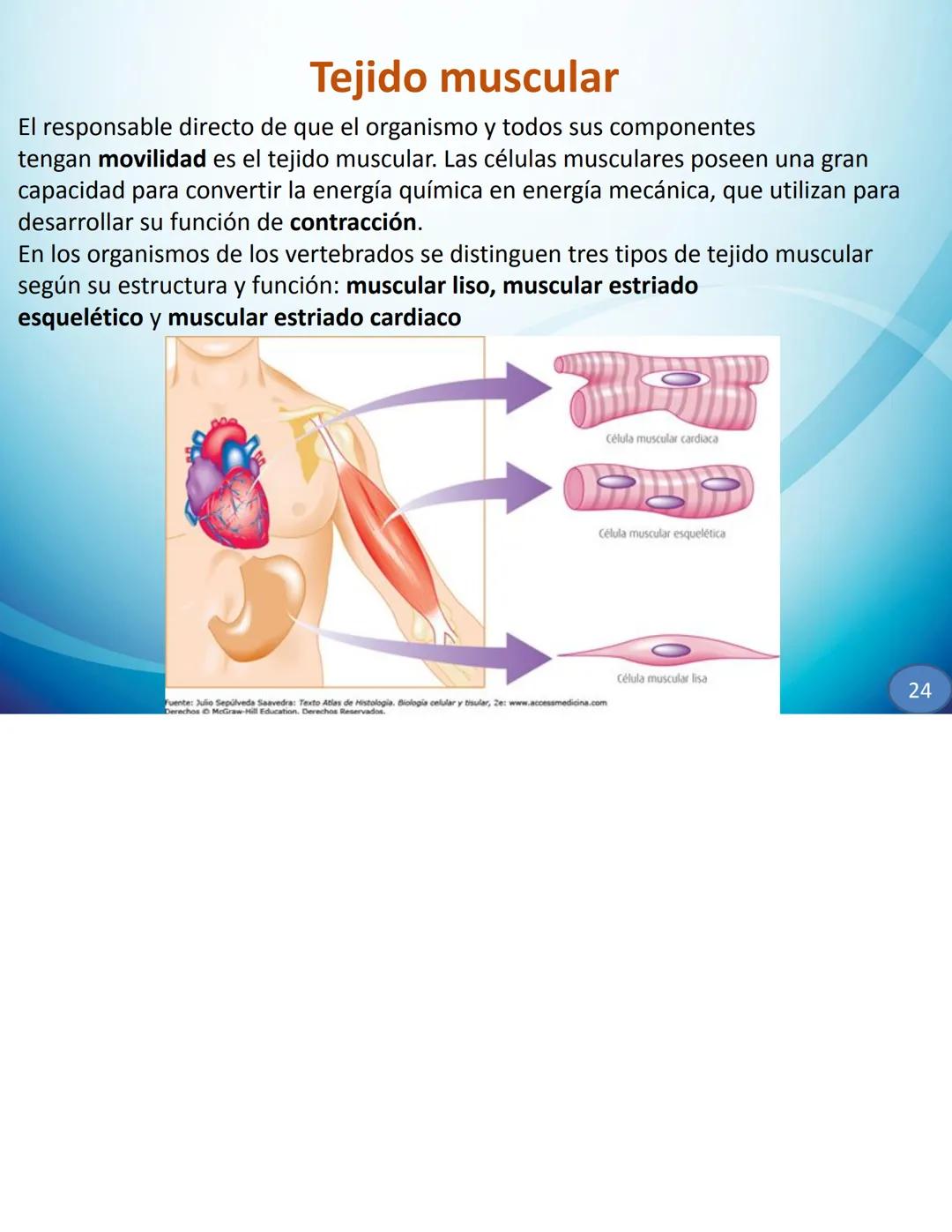 # CELULAS Y TEJIDOS
Profesora: Laura Armoa
Facultad de Ciencias Medicas
-UNR Definición de Célula
La célula es conocida como la unidad anat