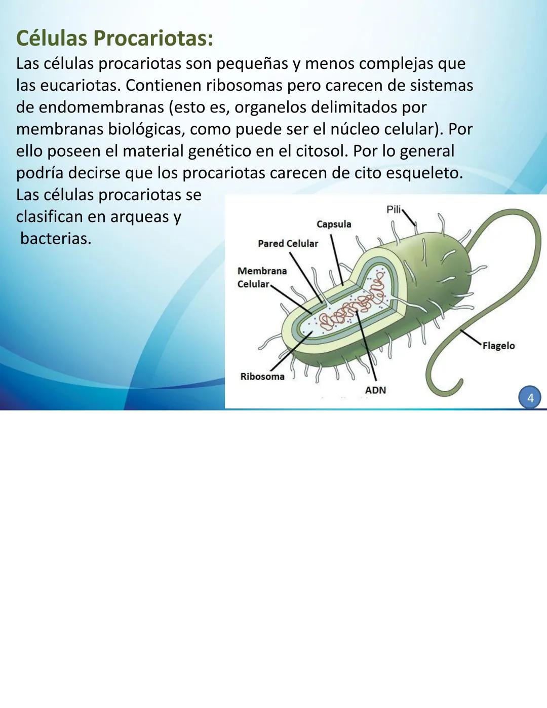 # CELULAS Y TEJIDOS
Profesora: Laura Armoa
Facultad de Ciencias Medicas
-UNR Definición de Célula
La célula es conocida como la unidad anat