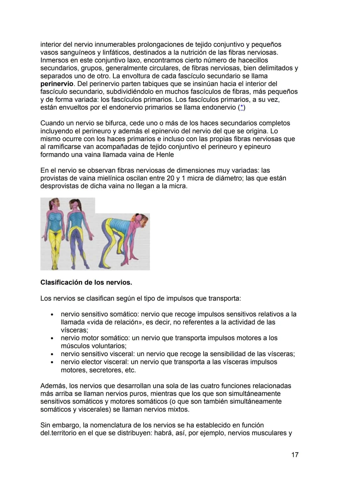 NEUROLOGÍA
ANATOMÍA Y FISIOLOGÍA DEL SISTEMA NERVIOSO
El sistema nervioso (SN constituye el sistema de control más importante del
organismo