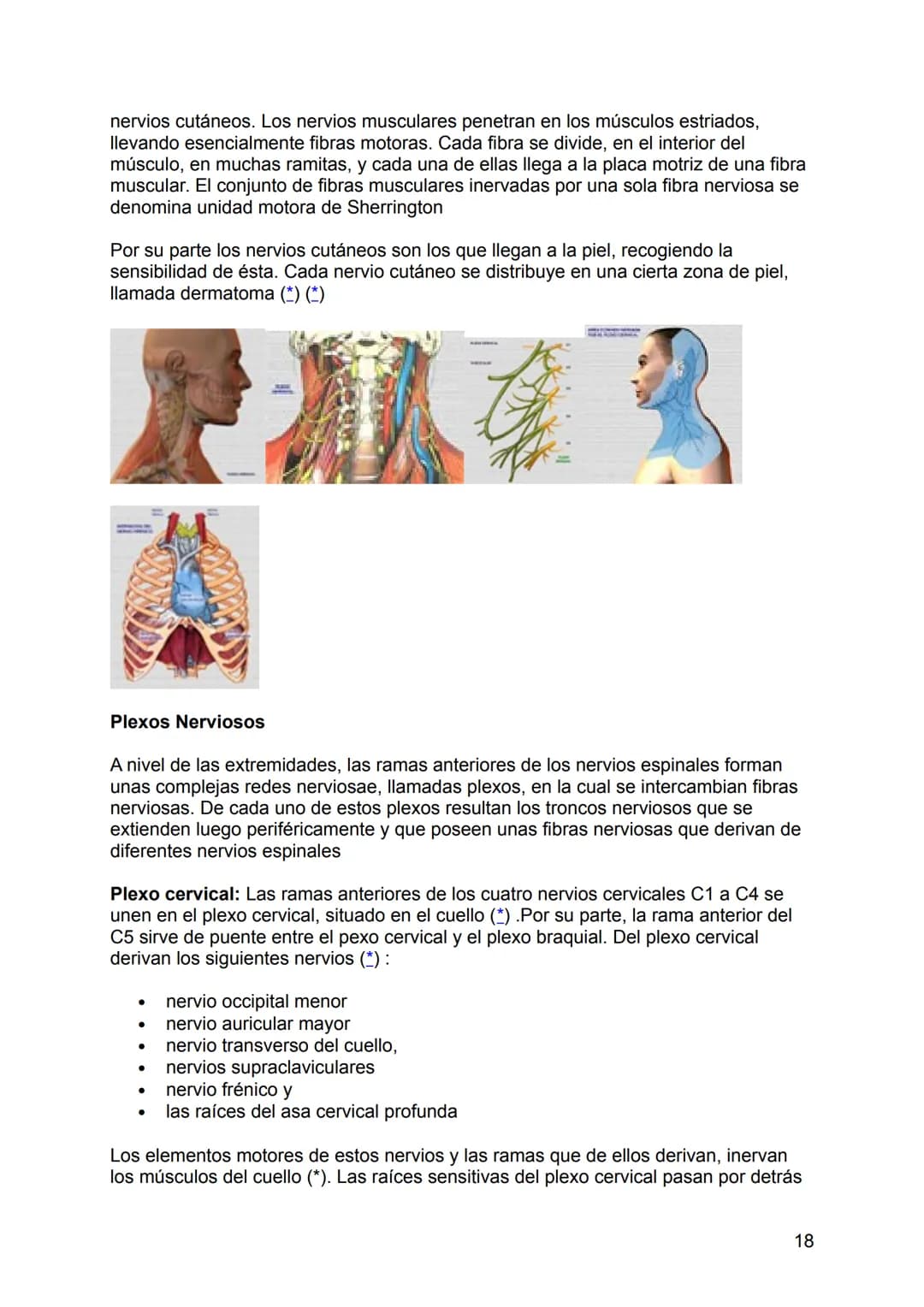 NEUROLOGÍA
ANATOMÍA Y FISIOLOGÍA DEL SISTEMA NERVIOSO
El sistema nervioso (SN constituye el sistema de control más importante del
organismo