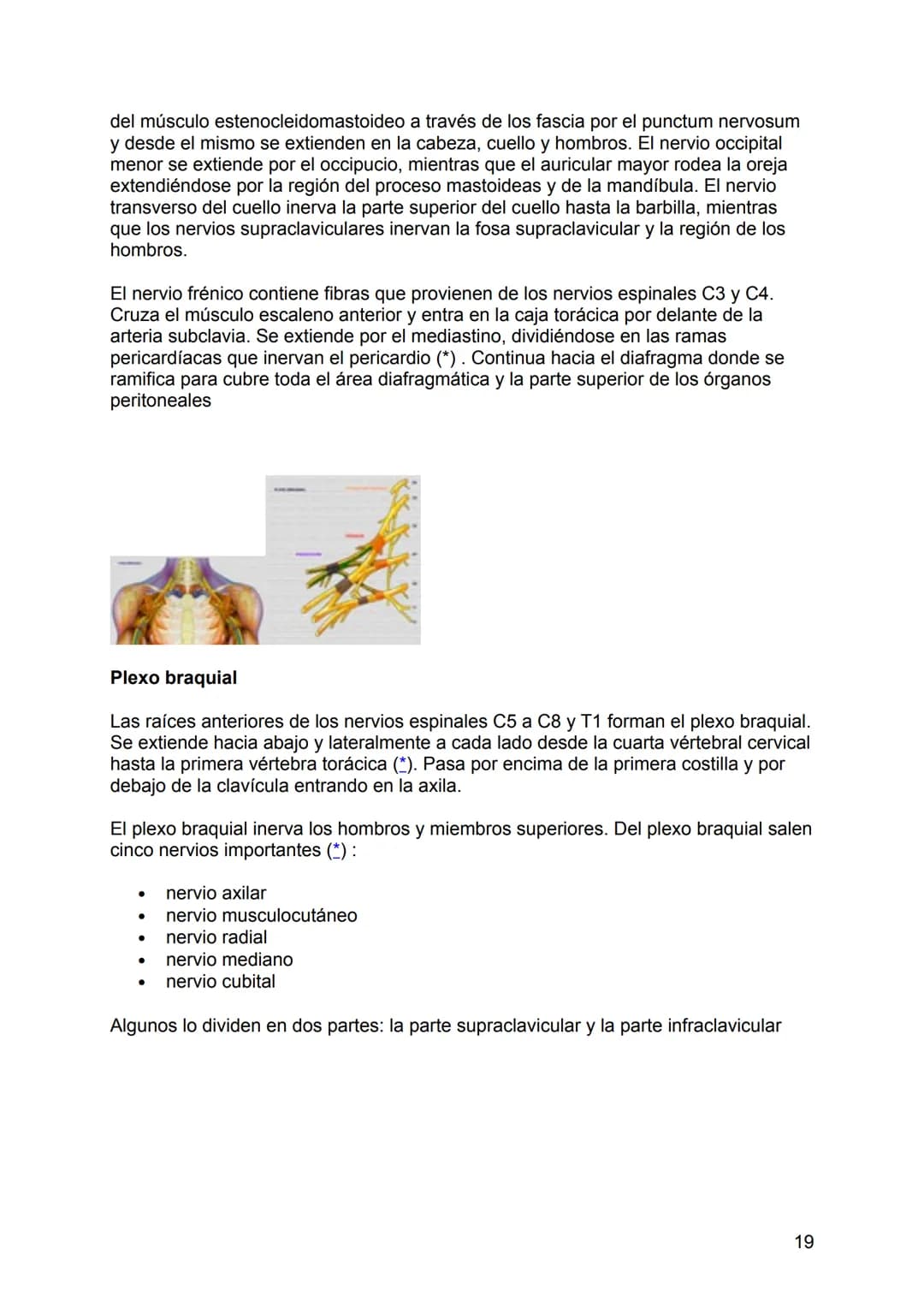 NEUROLOGÍA
ANATOMÍA Y FISIOLOGÍA DEL SISTEMA NERVIOSO
El sistema nervioso (SN constituye el sistema de control más importante del
organismo