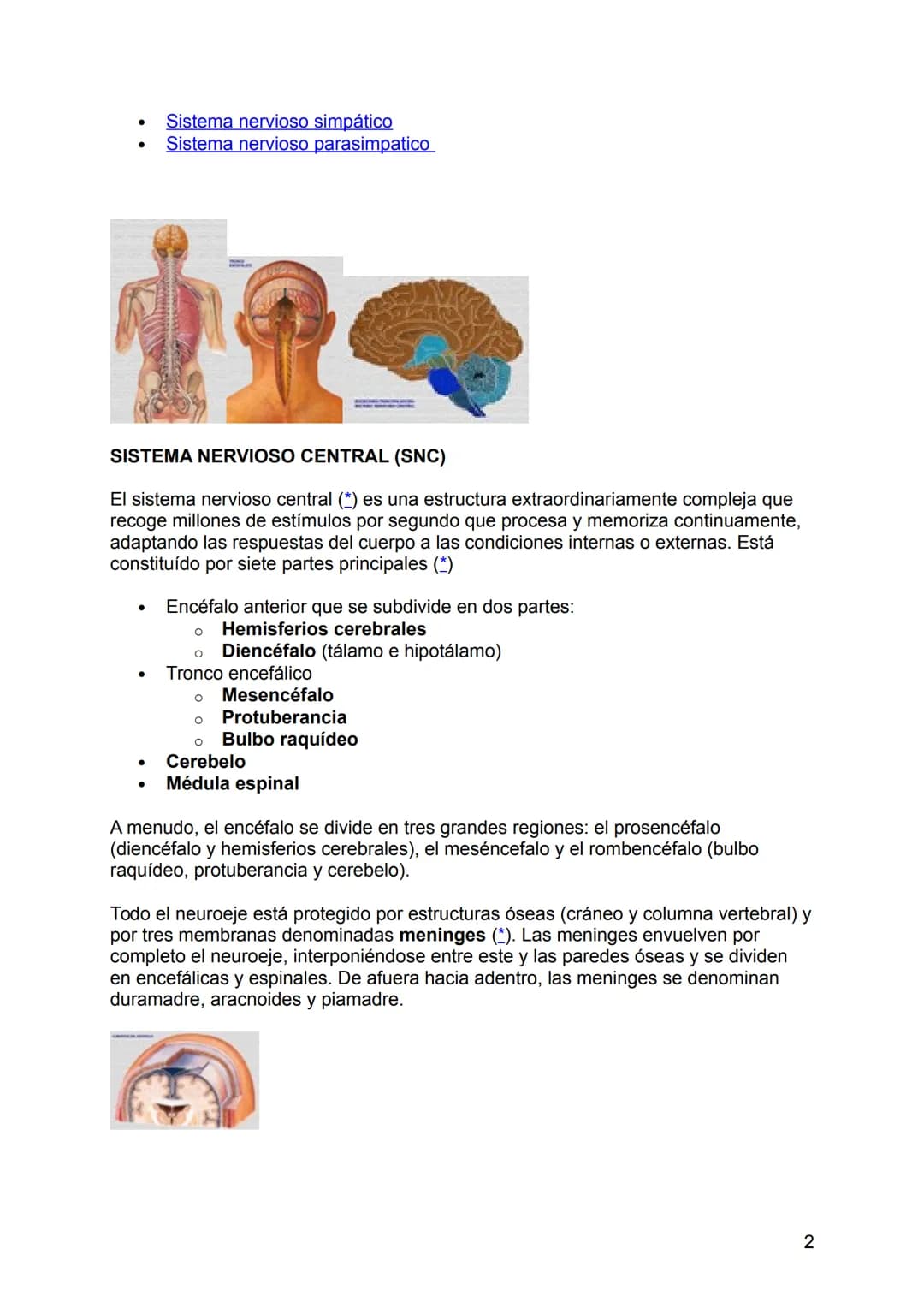 NEUROLOGÍA
ANATOMÍA Y FISIOLOGÍA DEL SISTEMA NERVIOSO
El sistema nervioso (SN constituye el sistema de control más importante del
organismo