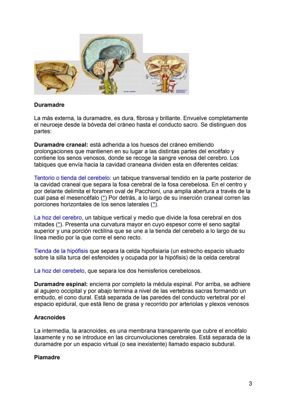 NEUROLOGÍA
ANATOMÍA Y FISIOLOGÍA DEL SISTEMA NERVIOSO
El sistema nervioso (SN constituye el sistema de control más importante del
organismo