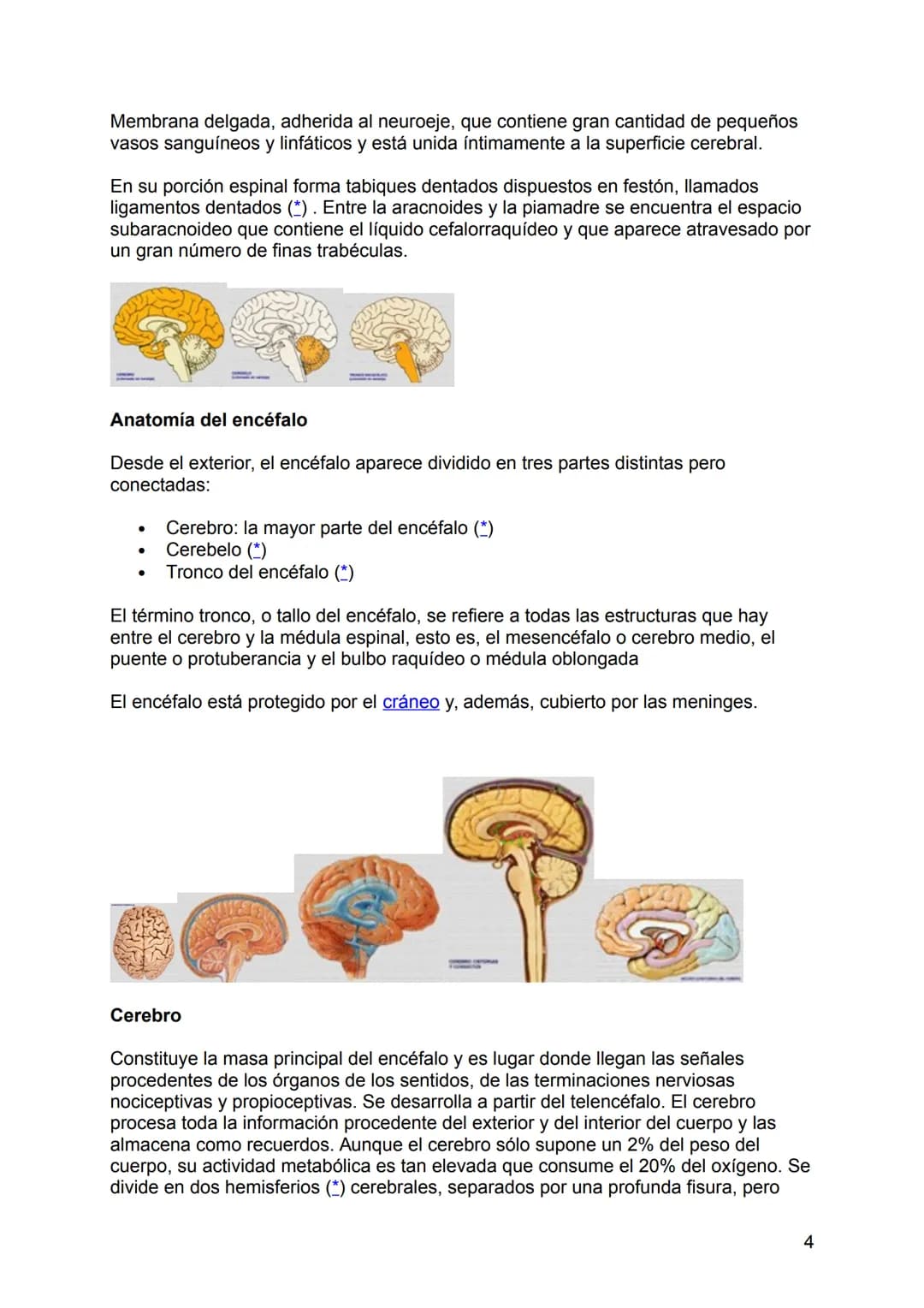 NEUROLOGÍA
ANATOMÍA Y FISIOLOGÍA DEL SISTEMA NERVIOSO
El sistema nervioso (SN constituye el sistema de control más importante del
organismo