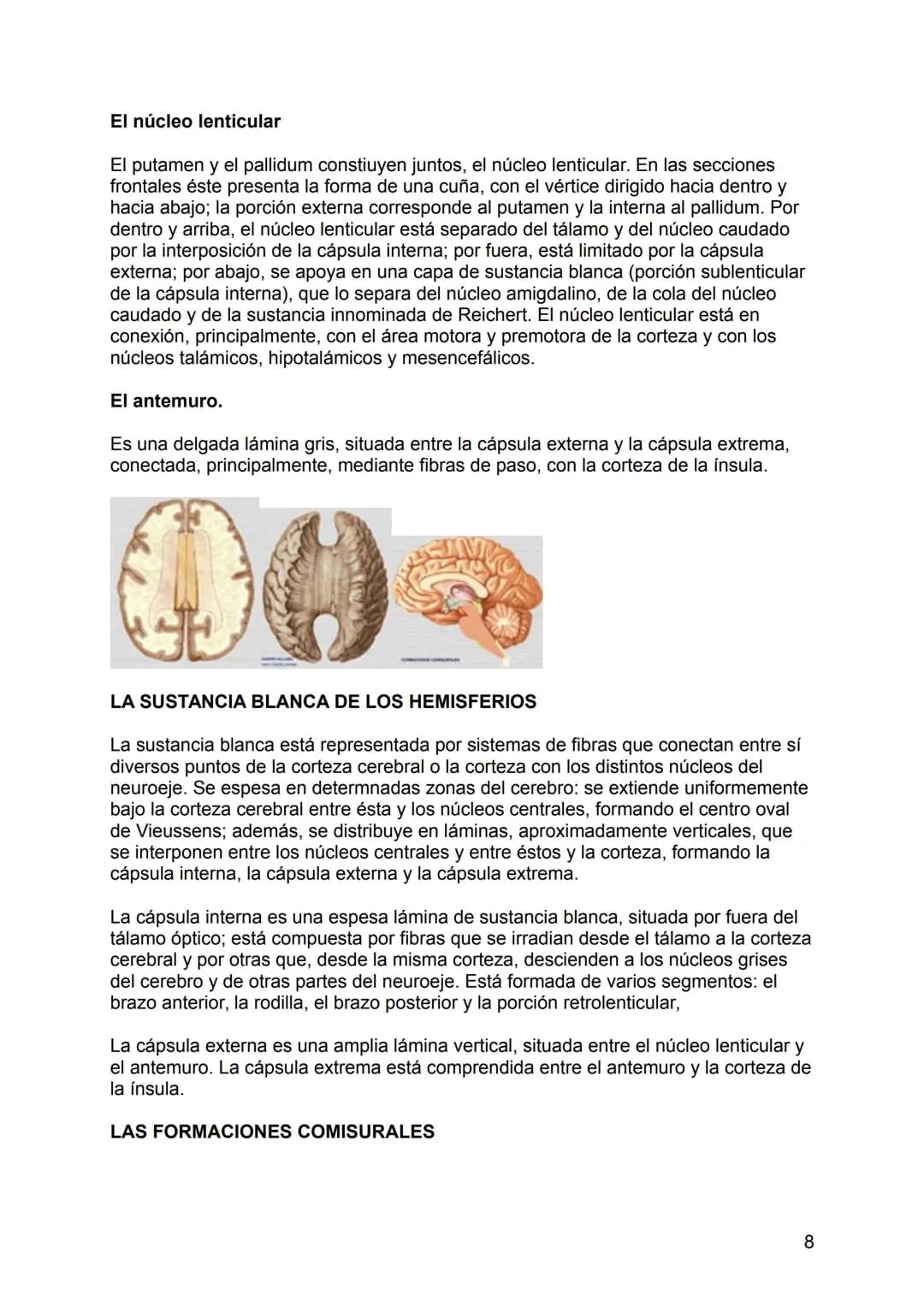 NEUROLOGÍA
ANATOMÍA Y FISIOLOGÍA DEL SISTEMA NERVIOSO
El sistema nervioso (SN constituye el sistema de control más importante del
organismo