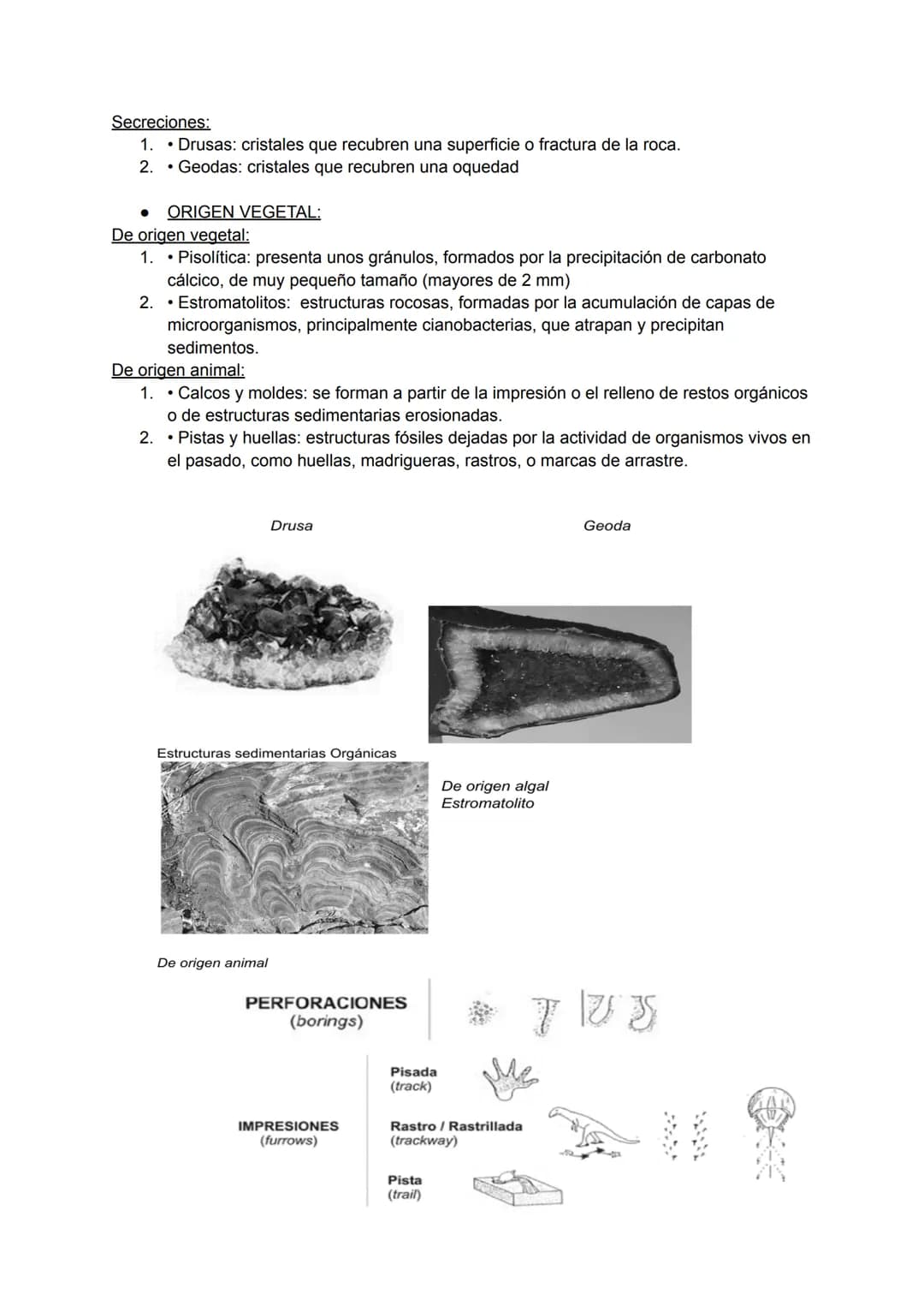 ROCAS SEDIMENTARIAS
Introducción:
Todas las rocas que se encuentran en la superficie terrestre están sometidas a la acción de
la atmósfera,
