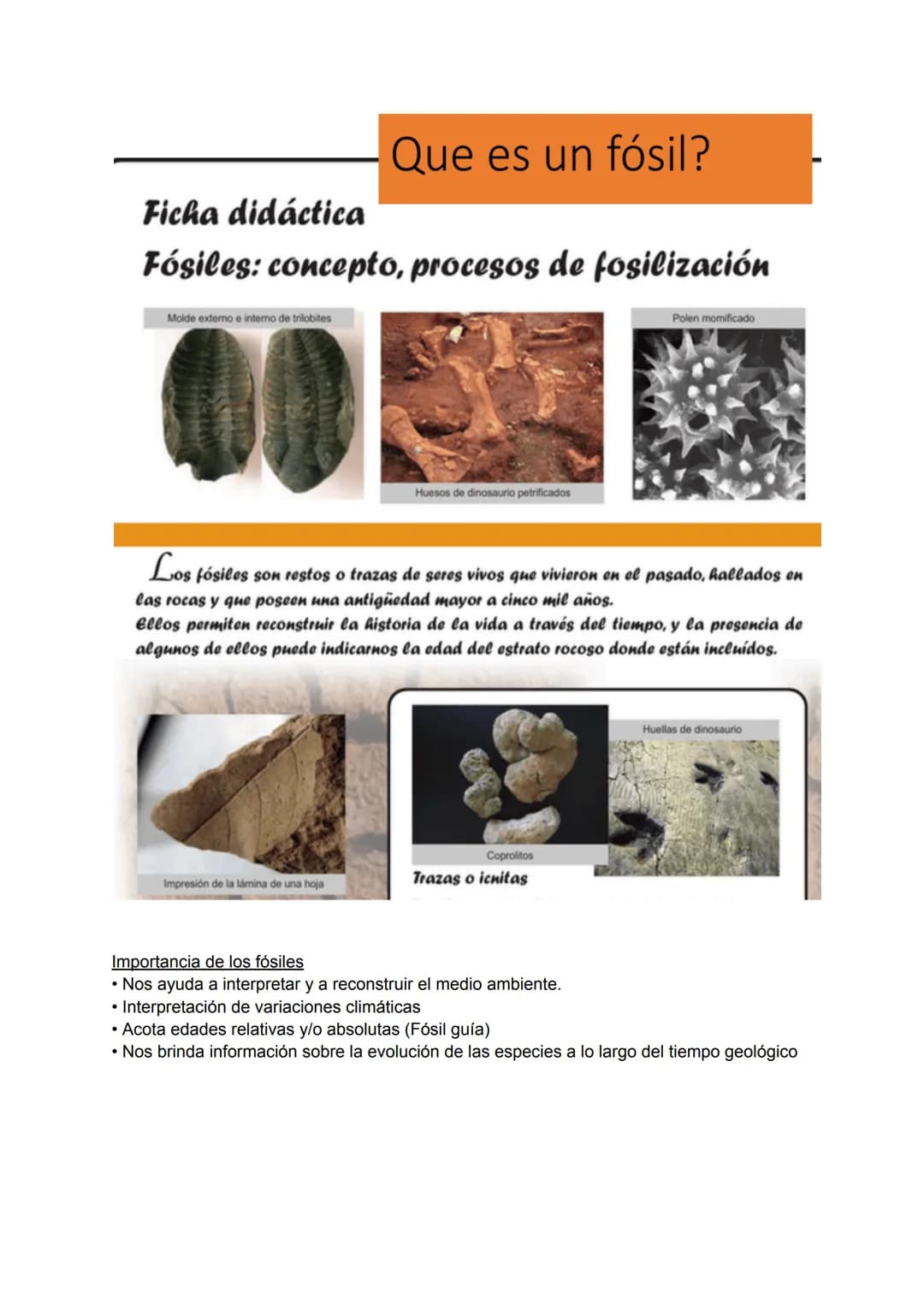 ROCAS SEDIMENTARIAS
Introducción:
Todas las rocas que se encuentran en la superficie terrestre están sometidas a la acción de
la atmósfera,