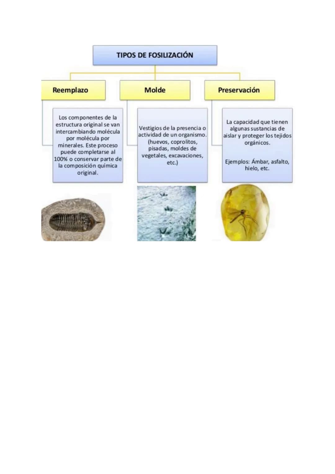 ROCAS SEDIMENTARIAS
Introducción:
Todas las rocas que se encuentran en la superficie terrestre están sometidas a la acción de
la atmósfera,