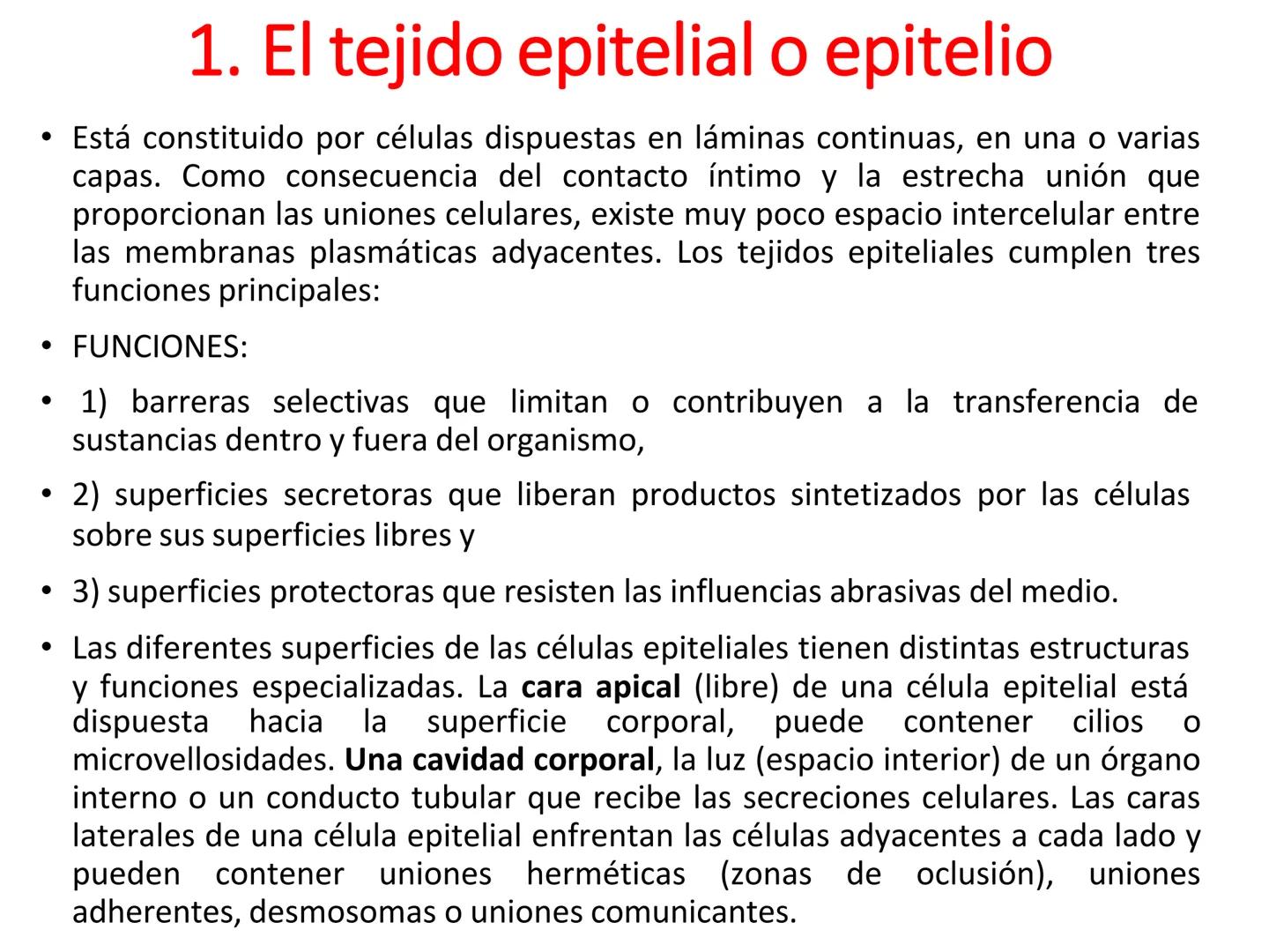 UNIDAD I
Organización del cuerpo humano y nivel
tisular
Organización del cuerpo humano. Tejidos:
clasificación y funciones.
Tejido epitelial