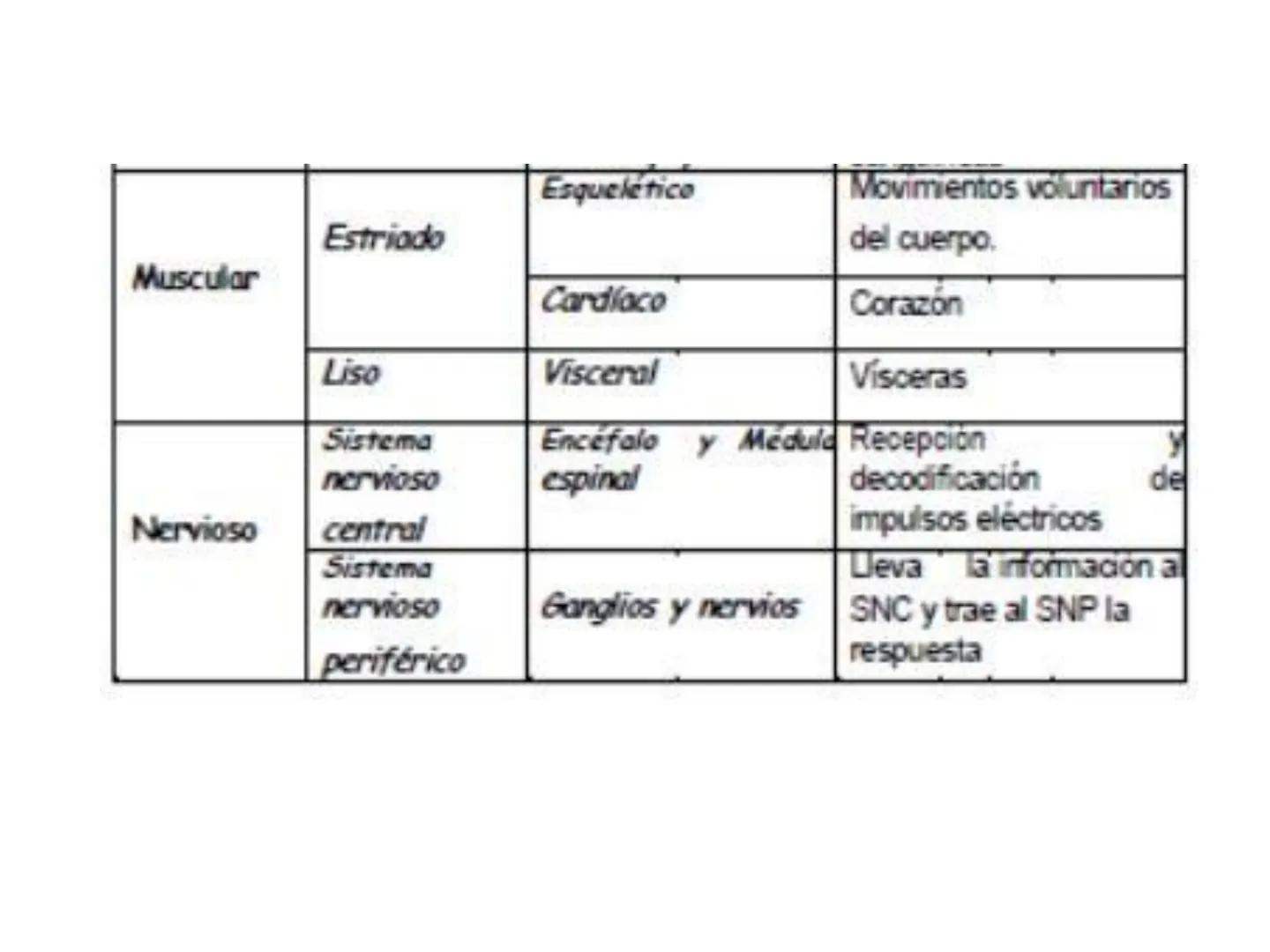 UNIDAD I
Organización del cuerpo humano y nivel
tisular
Organización del cuerpo humano. Tejidos:
clasificación y funciones.
Tejido epitelial