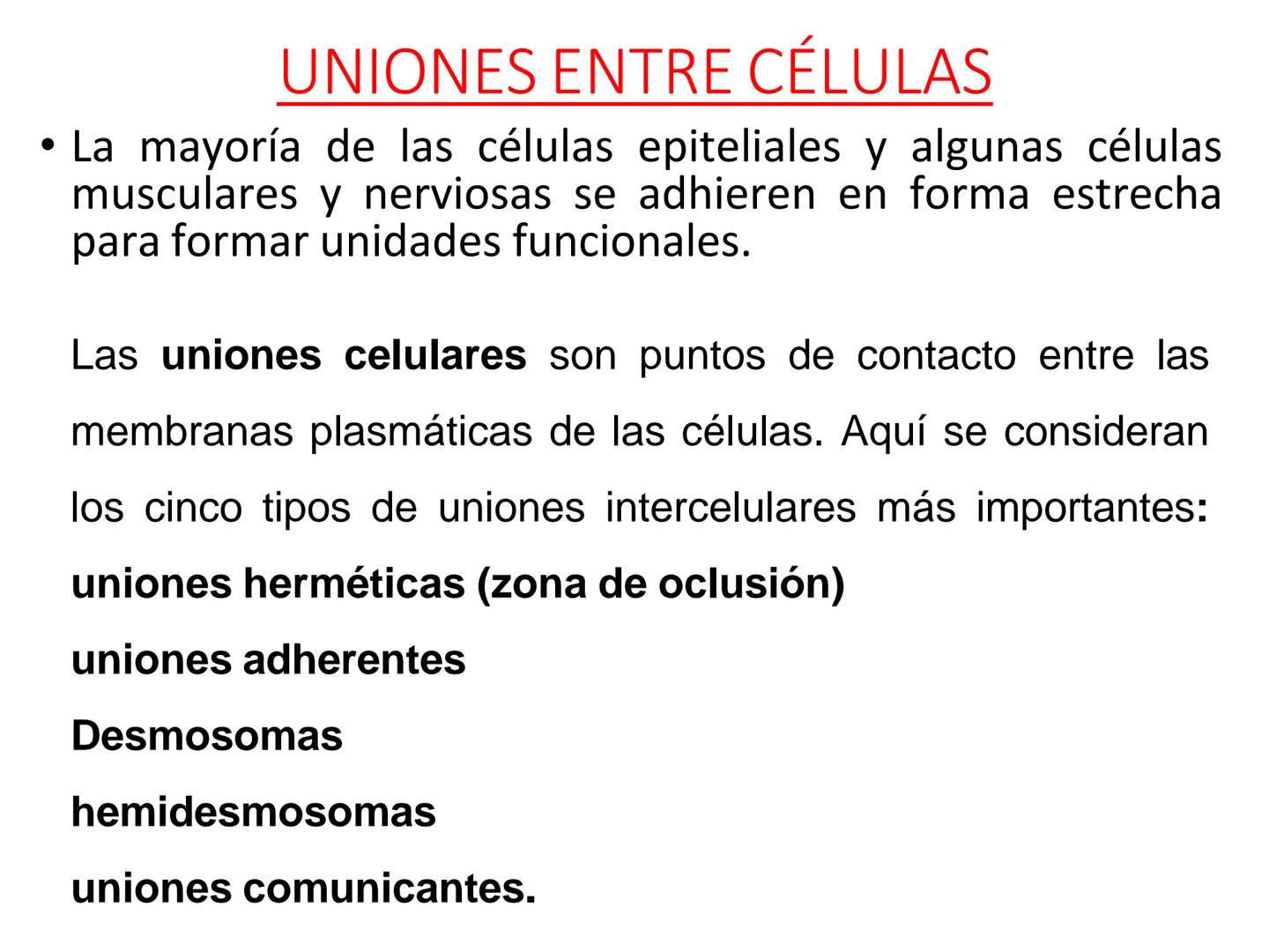 UNIDAD I
Organización del cuerpo humano y nivel
tisular
Organización del cuerpo humano. Tejidos:
clasificación y funciones.
Tejido epitelial