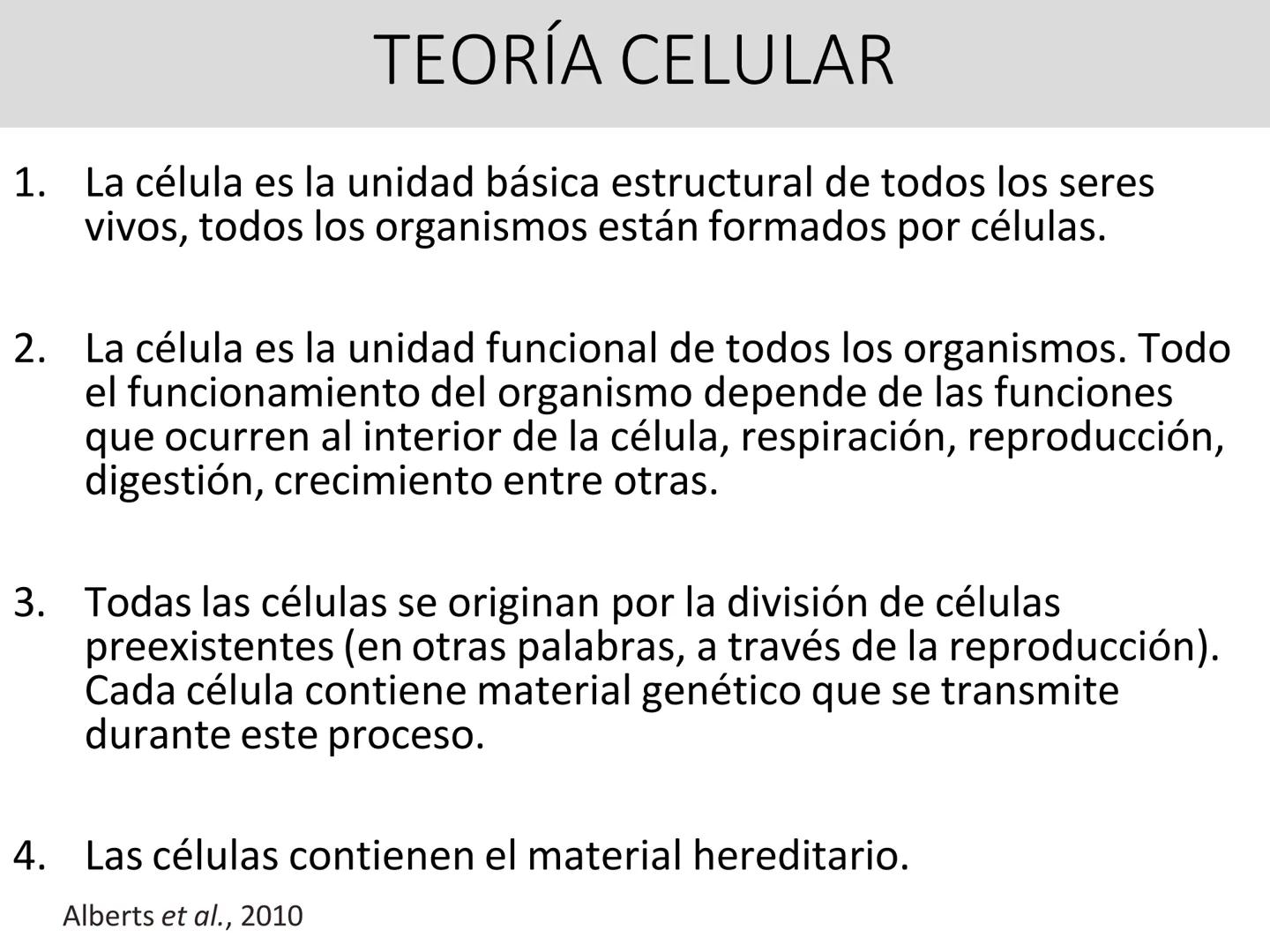 UNIDAD I
Organización del cuerpo humano y nivel
tisular
Organización del cuerpo humano. Tejidos:
clasificación y funciones.
Tejido epitelial