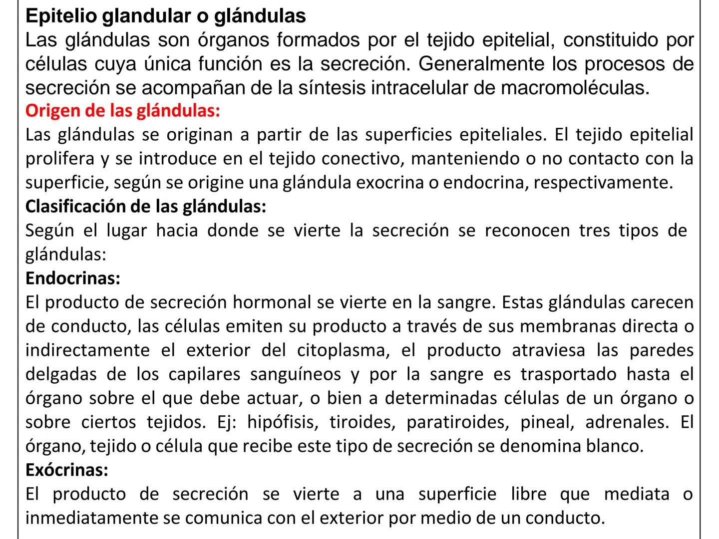 UNIDAD I
Organización del cuerpo humano y nivel
tisular
Organización del cuerpo humano. Tejidos:
clasificación y funciones.
Tejido epitelial