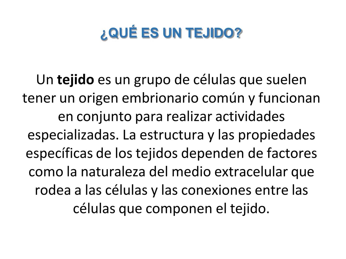 UNIDAD I
Organización del cuerpo humano y nivel
tisular
Organización del cuerpo humano. Tejidos:
clasificación y funciones.
Tejido epitelial