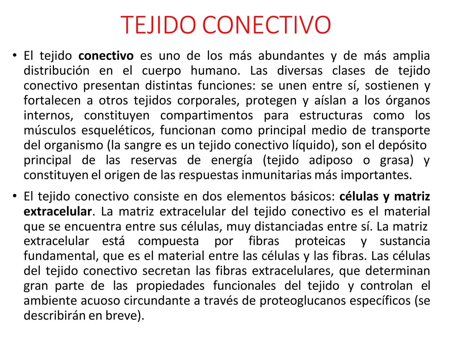 UNIDAD I
Organización del cuerpo humano y nivel
tisular
Organización del cuerpo humano. Tejidos:
clasificación y funciones.
Tejido epitelial