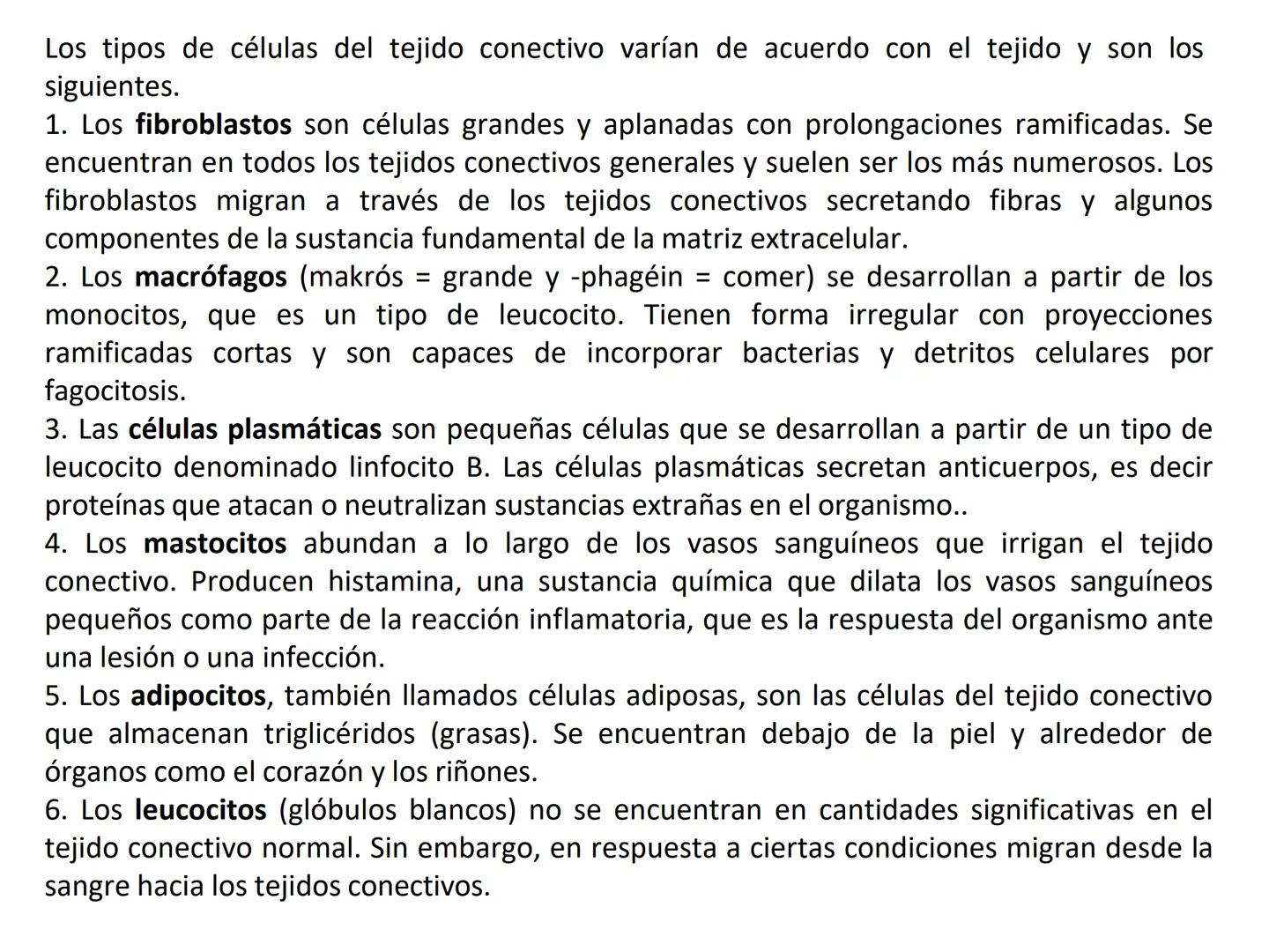 UNIDAD I
Organización del cuerpo humano y nivel
tisular
Organización del cuerpo humano. Tejidos:
clasificación y funciones.
Tejido epitelial
