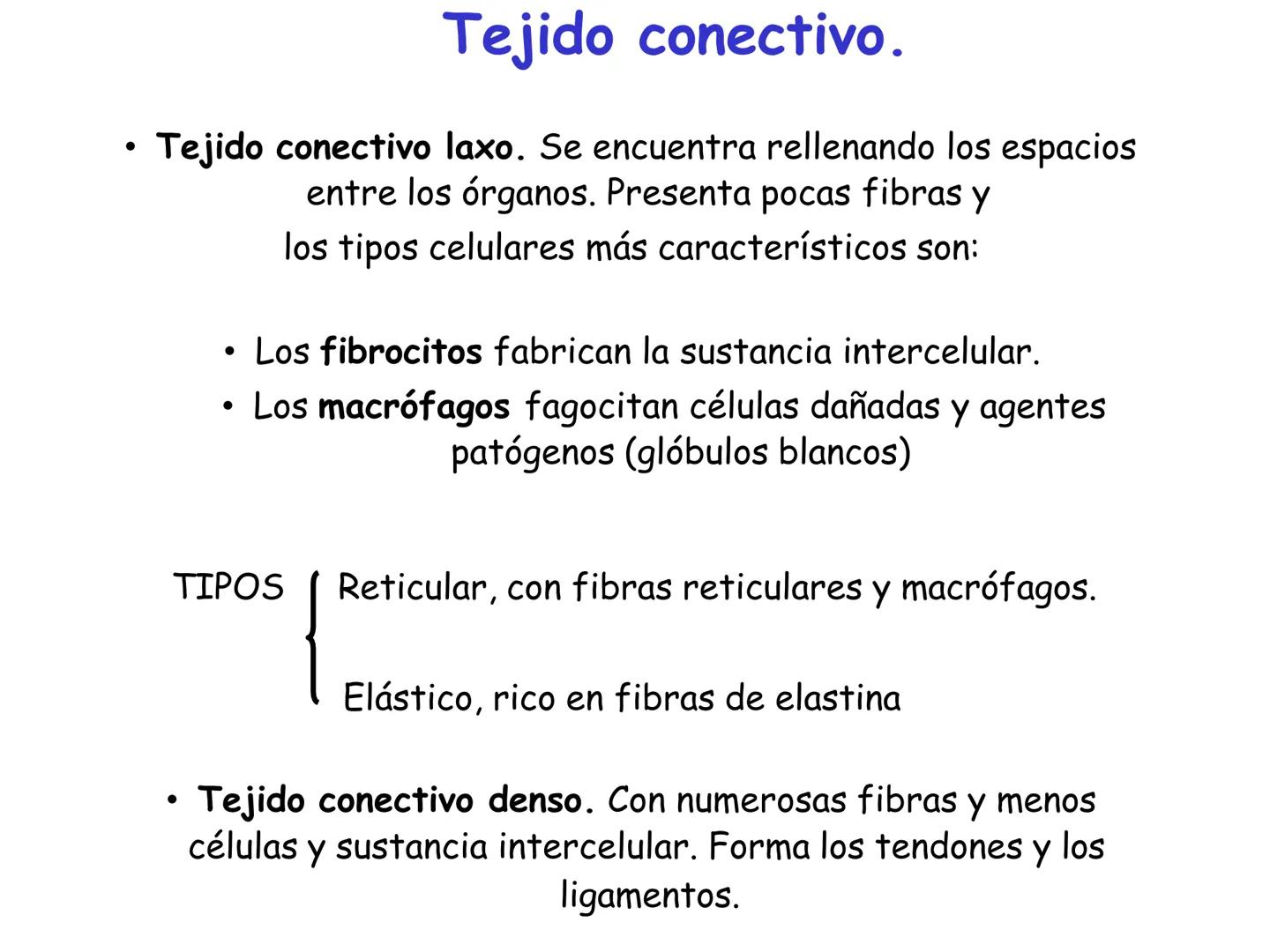 UNIDAD I
Organización del cuerpo humano y nivel
tisular
Organización del cuerpo humano. Tejidos:
clasificación y funciones.
Tejido epitelial