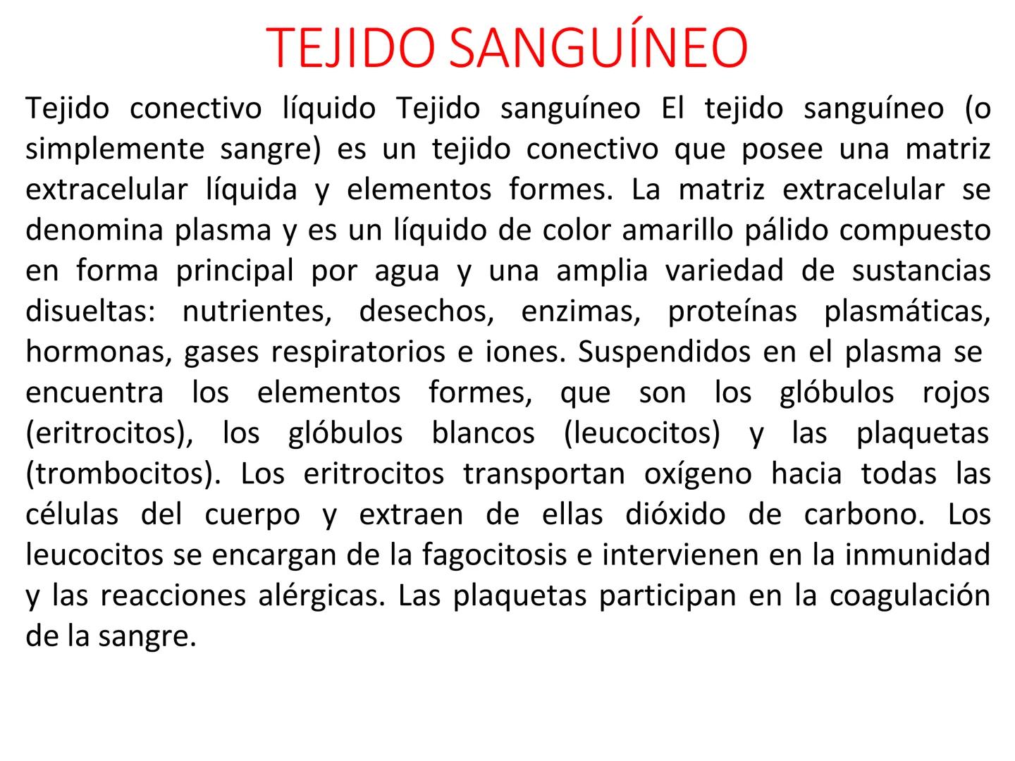 UNIDAD I
Organización del cuerpo humano y nivel
tisular
Organización del cuerpo humano. Tejidos:
clasificación y funciones.
Tejido epitelial