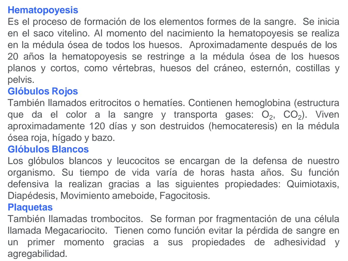 UNIDAD I
Organización del cuerpo humano y nivel
tisular
Organización del cuerpo humano. Tejidos:
clasificación y funciones.
Tejido epitelial