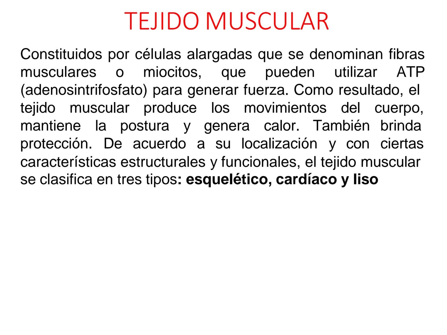 UNIDAD I
Organización del cuerpo humano y nivel
tisular
Organización del cuerpo humano. Tejidos:
clasificación y funciones.
Tejido epitelial