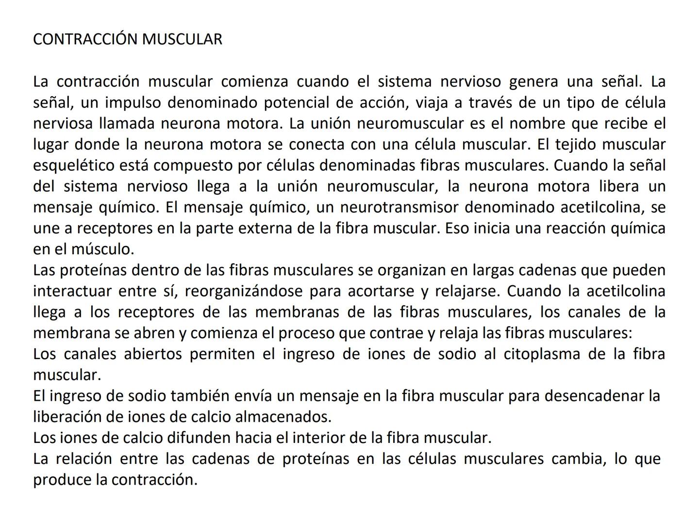 UNIDAD I
Organización del cuerpo humano y nivel
tisular
Organización del cuerpo humano. Tejidos:
clasificación y funciones.
Tejido epitelial