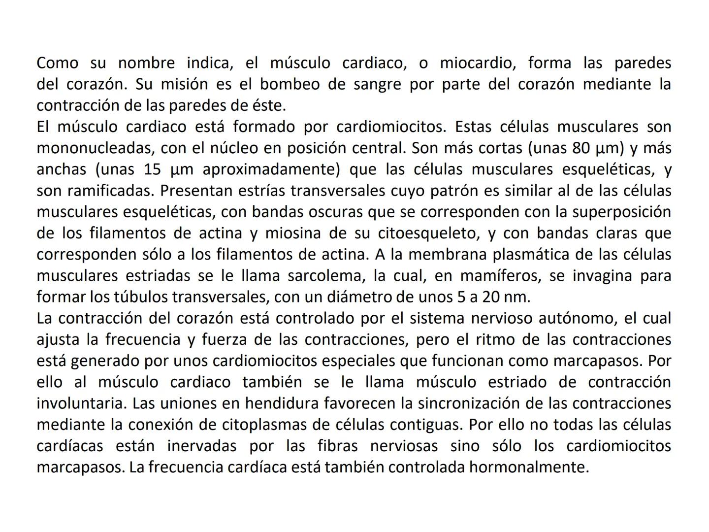 UNIDAD I
Organización del cuerpo humano y nivel
tisular
Organización del cuerpo humano. Tejidos:
clasificación y funciones.
Tejido epitelial