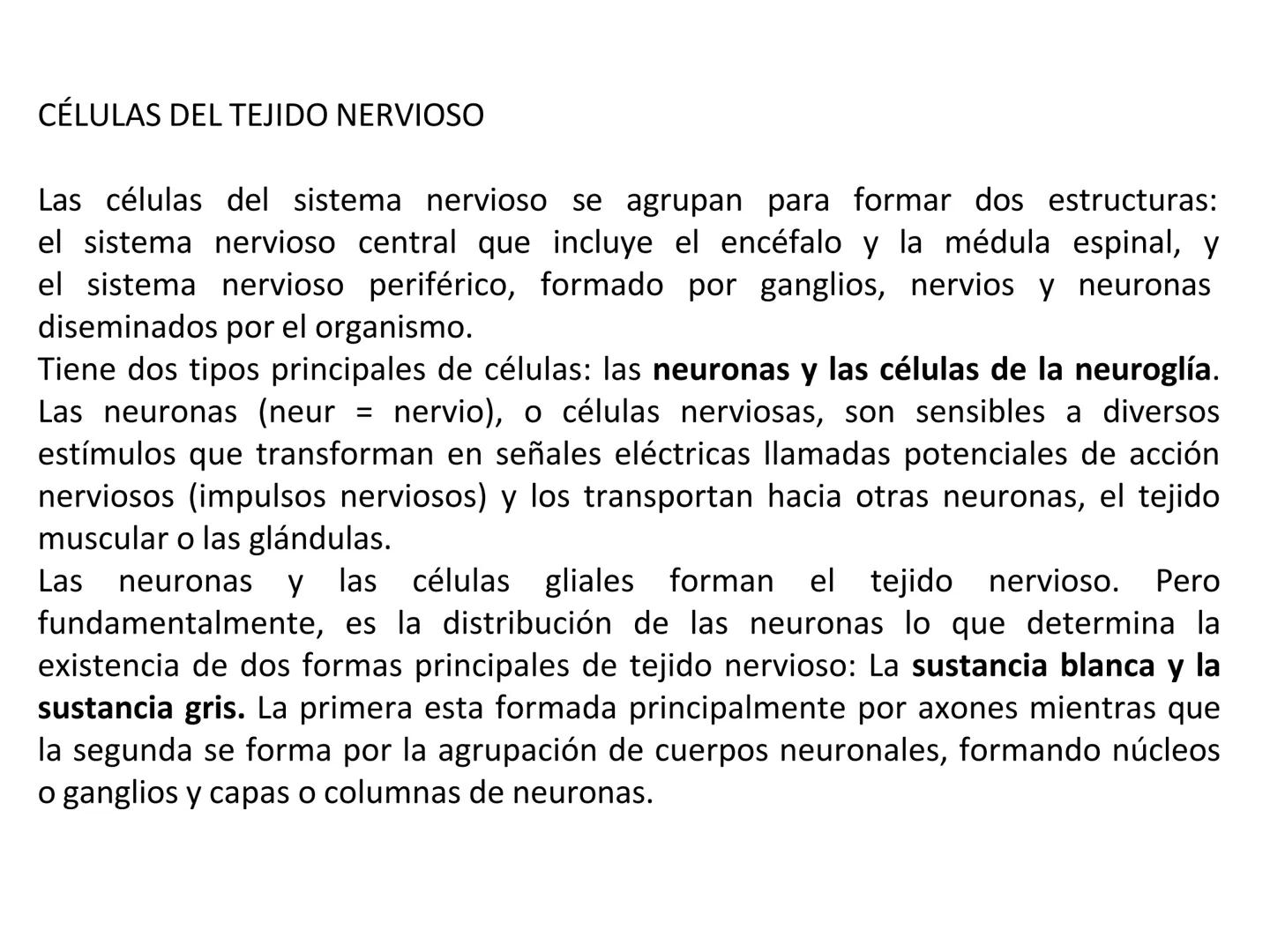 UNIDAD I
Organización del cuerpo humano y nivel
tisular
Organización del cuerpo humano. Tejidos:
clasificación y funciones.
Tejido epitelial