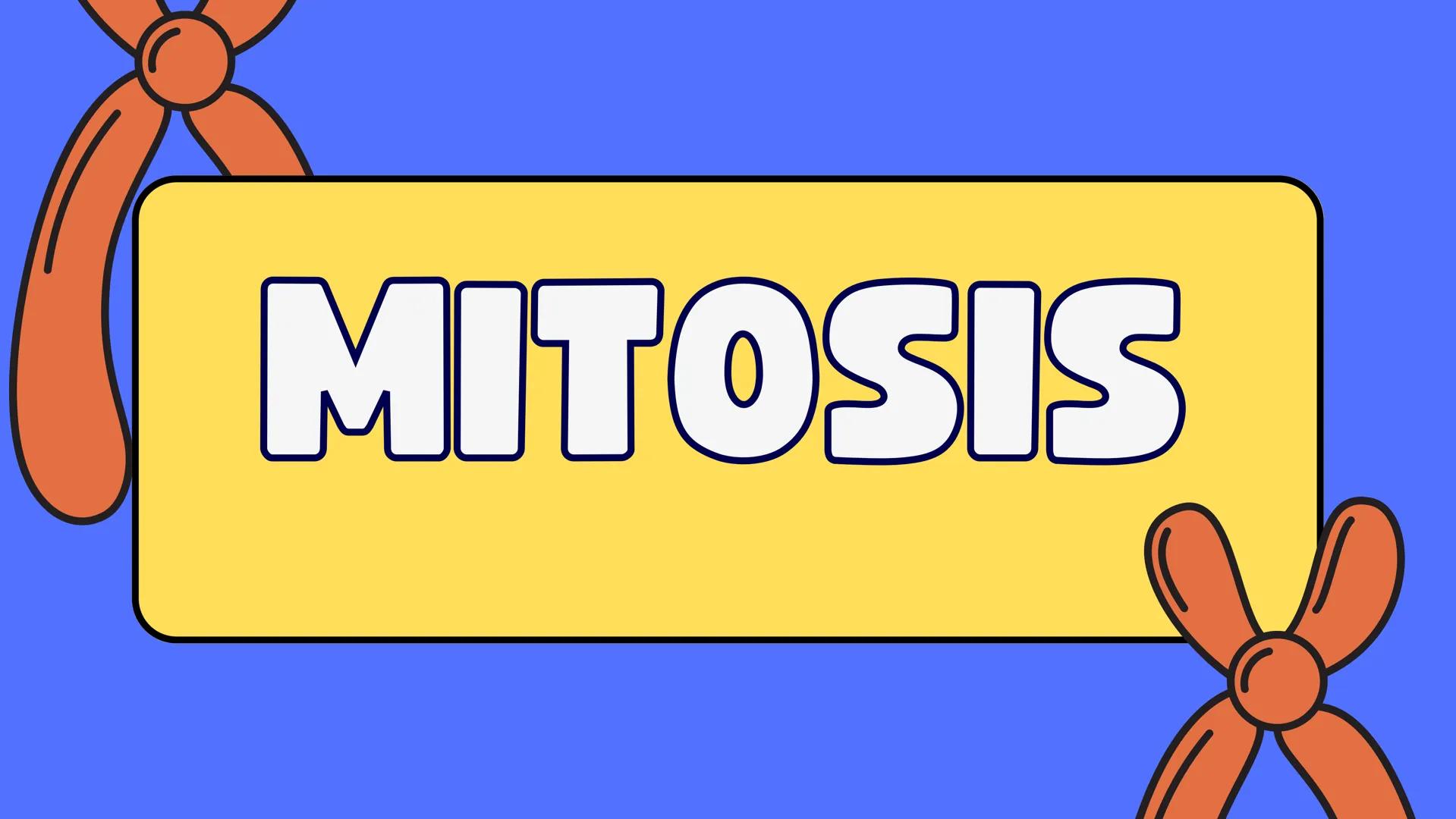 # MITOSIS ¿Qué es la mitosis?
LA MITOSIS ES UN TIPO DE DIVISIÓN CELULAR QUE OCURRE EN LAS CÉLULAS DEL
CUERPO CON EL OBJETIVO DE PERMITIR EL