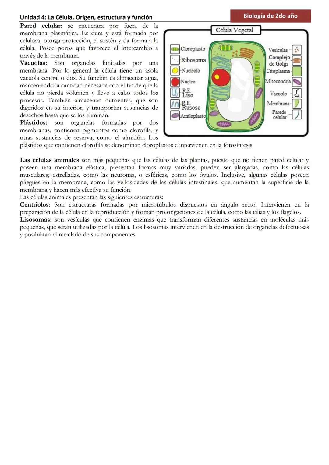 Unidad 4: La Célula. Origen, estructura y función
La Célula
Una célula es la unidad morfológica y funcional de todo ser vivo. De hecho, la c