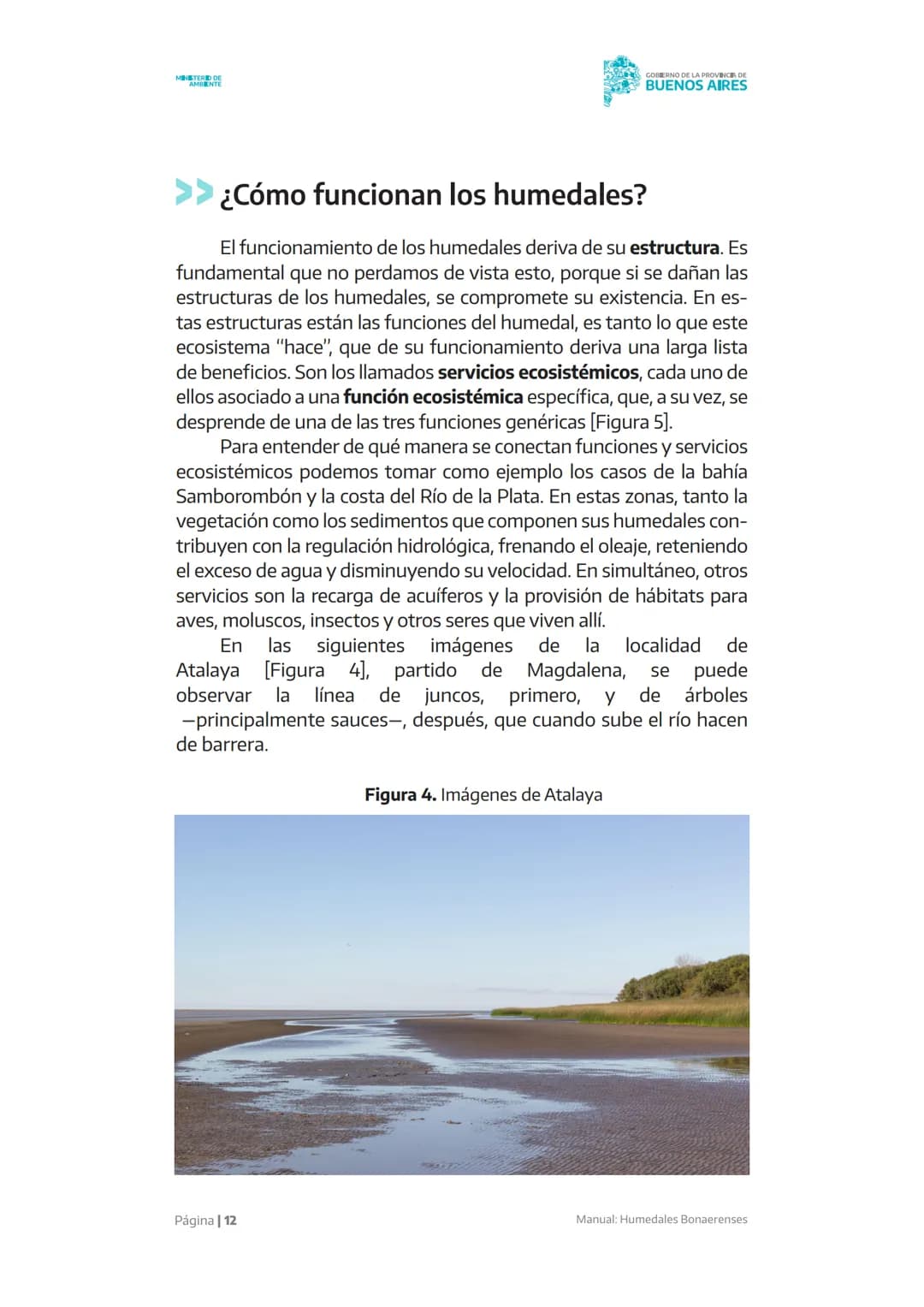 Manual
X X X X X
Humedales
Bonaerenses
MINISTERIO DE
AMBIENTE
GOBIERNO DE LA
PROVINCIA DE
BUENOS
AIRES AUTORIDADES
Gobernador de la provinc