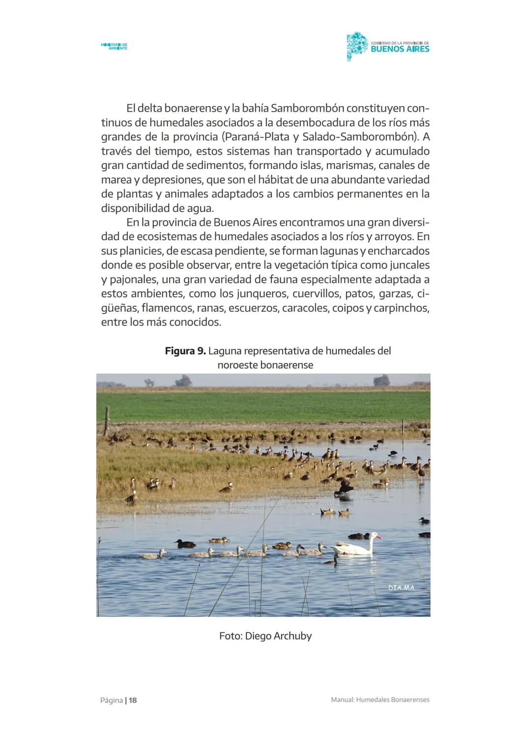 Manual
X X X X X
Humedales
Bonaerenses
MINISTERIO DE
AMBIENTE
GOBIERNO DE LA
PROVINCIA DE
BUENOS
AIRES AUTORIDADES
Gobernador de la provinc